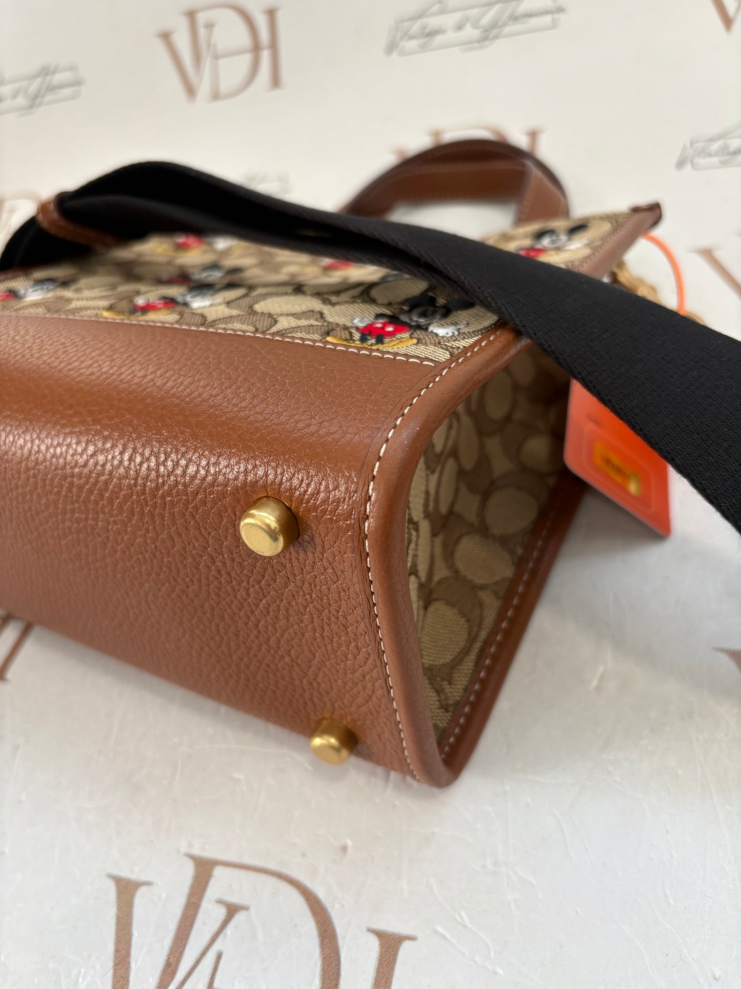 382695 - Coach Disney