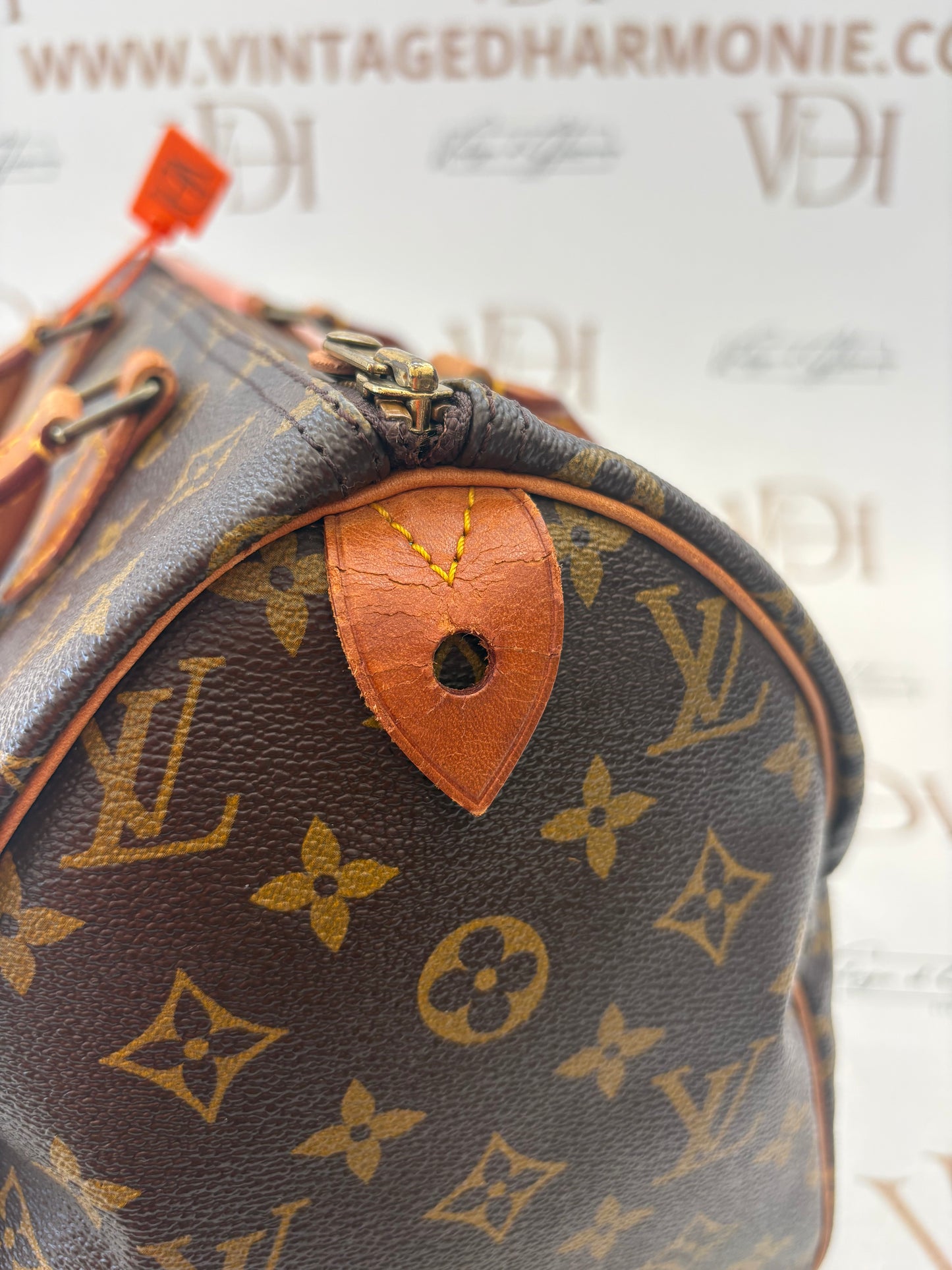 018907 - Louis Vuitton Speedy 30
