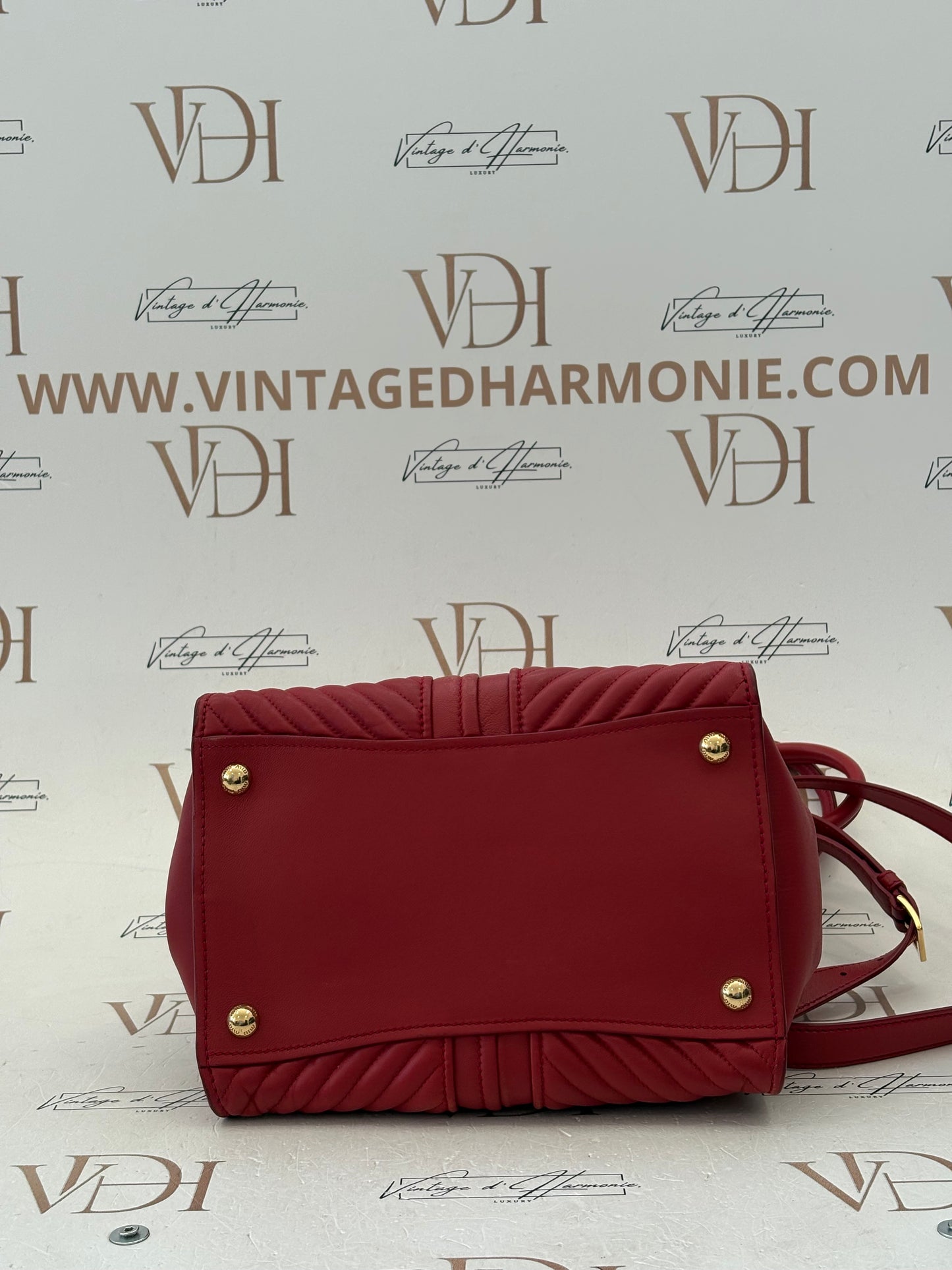 384120 - Miu Miu Red