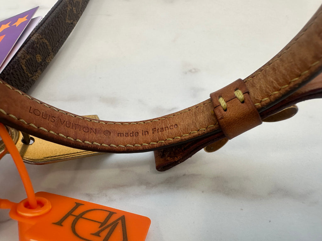 Louis Vuitton Collare+Guinzaglio