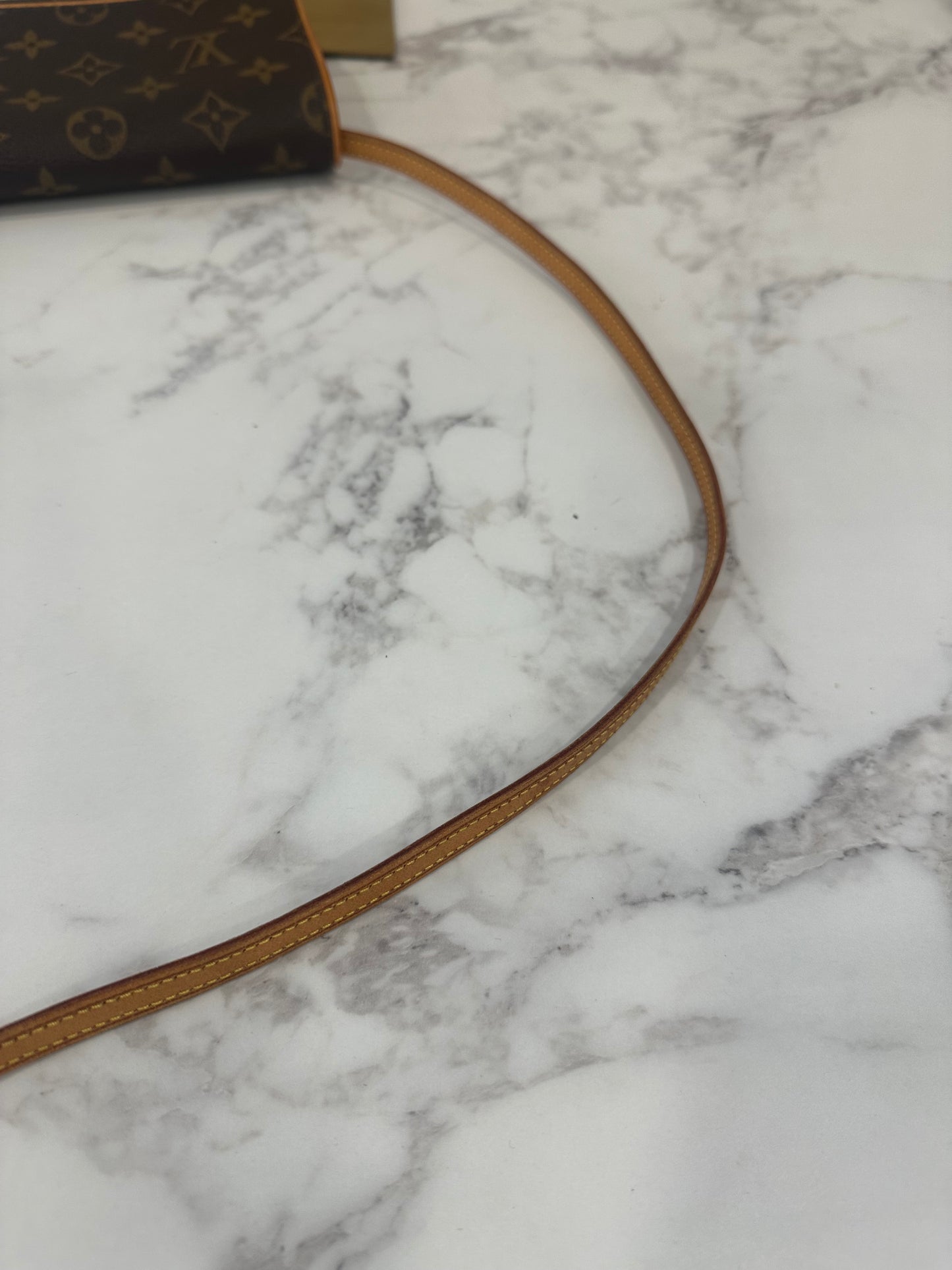 Louis Vuitton Pochette Twin GM