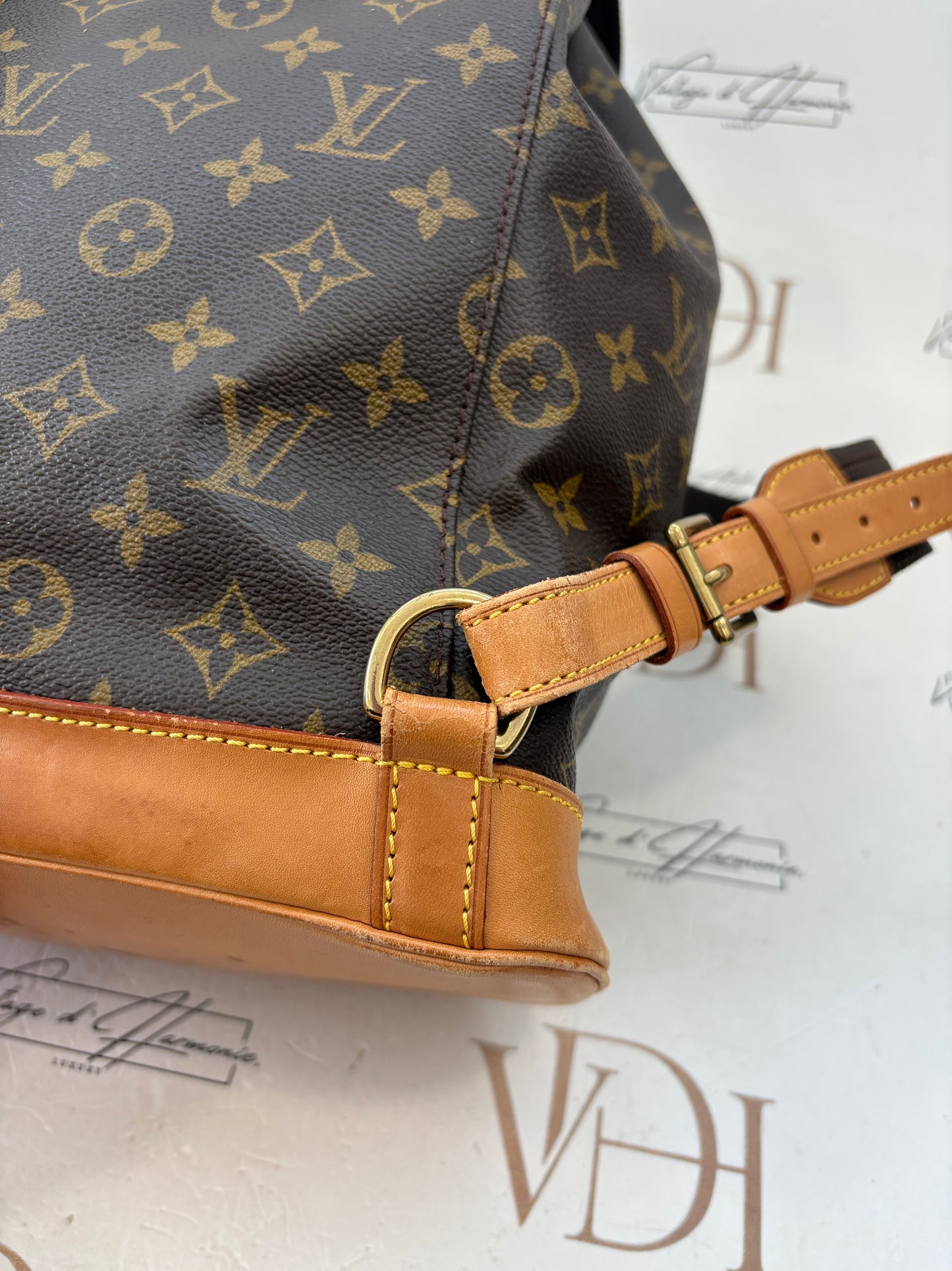 018398 - Louis Vuitton Montsouris GM
