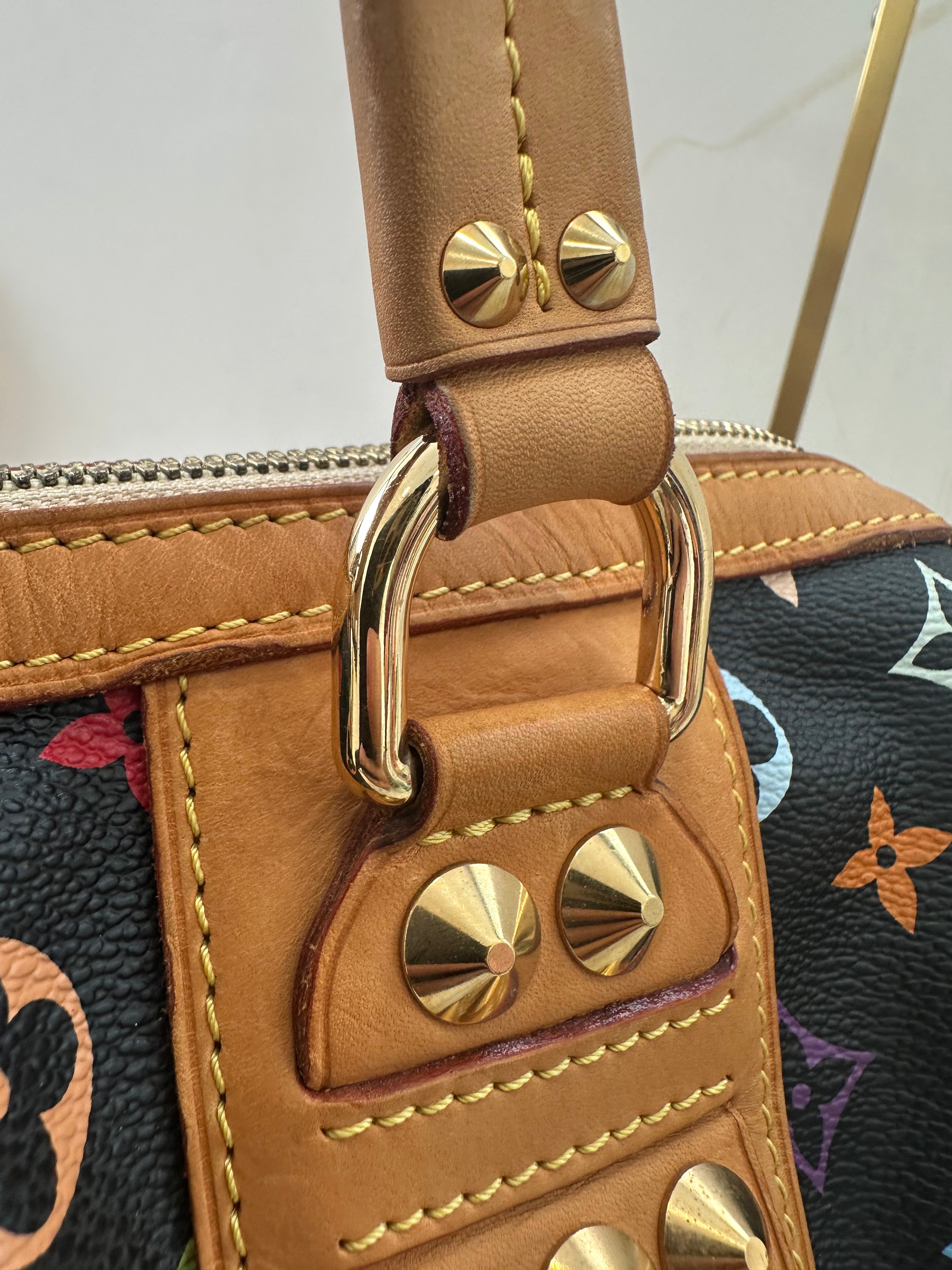 Louis Vuitton Multicolor Courtney MM