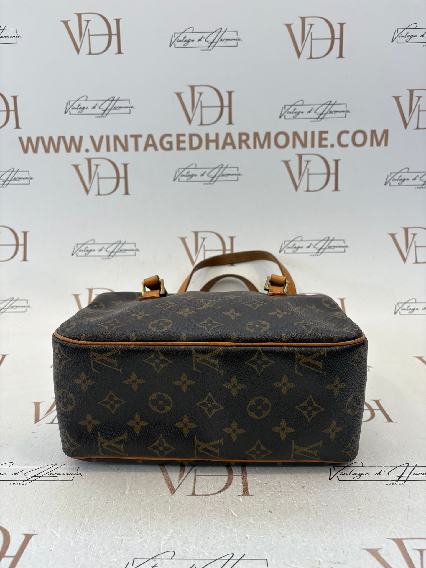 018257 - Louis Vuitton Cite MM