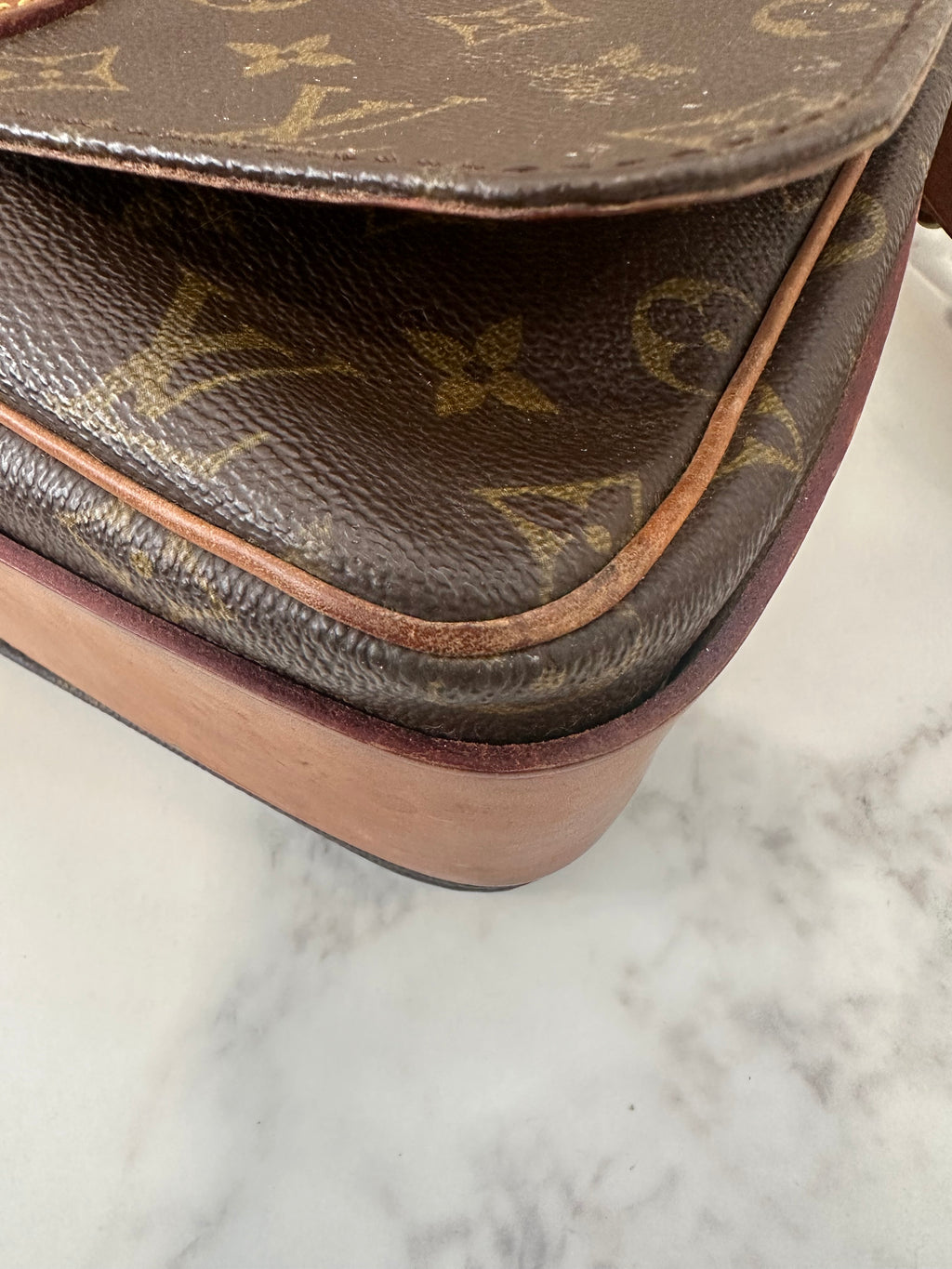 Louis Vuitton Cartouchiere GM