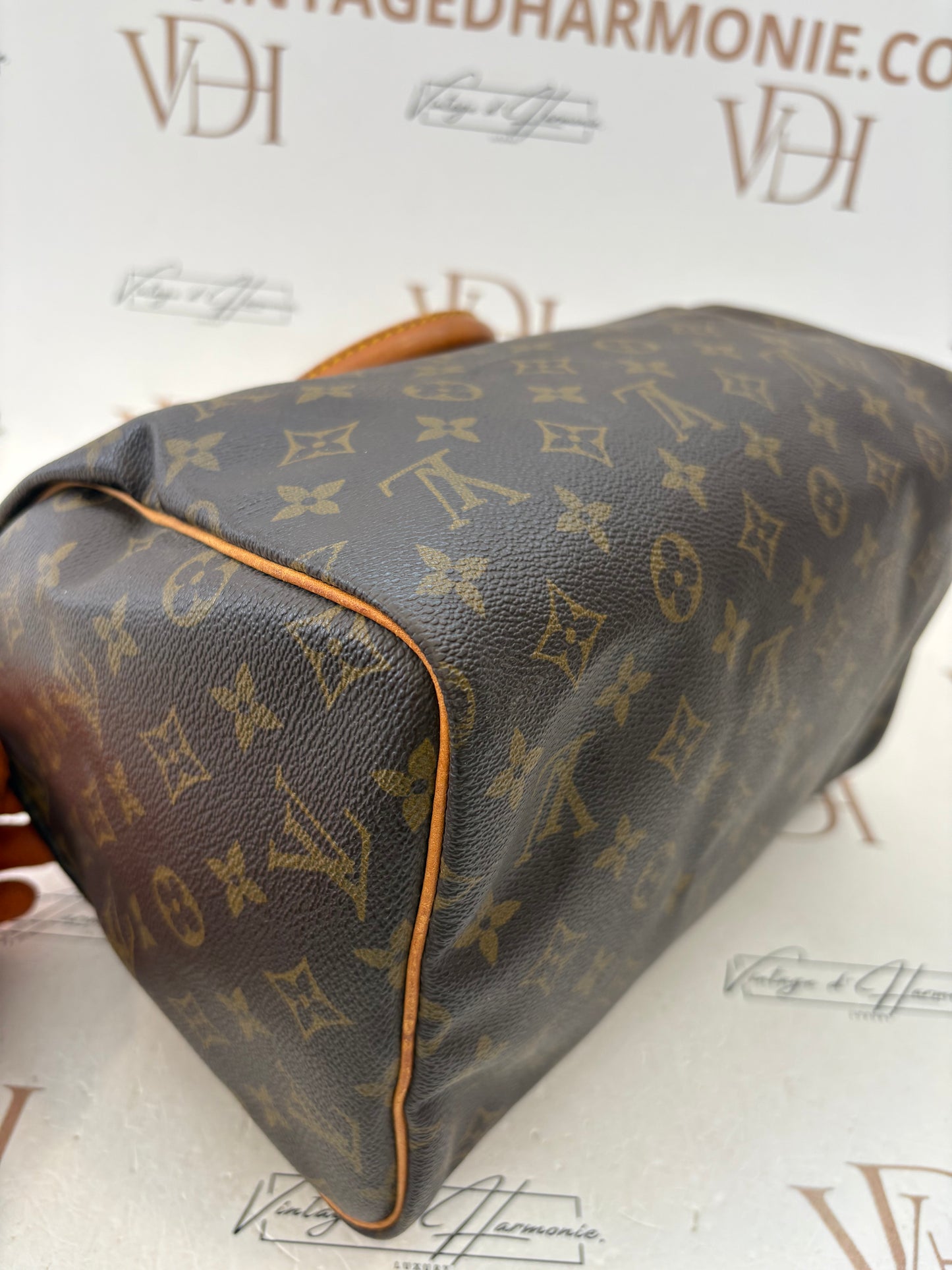 018801 - Louis Vuitton Speedy 30