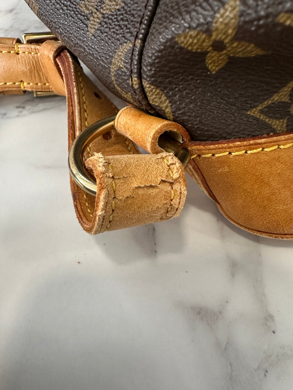 Louis Vuitton Montsouris GM