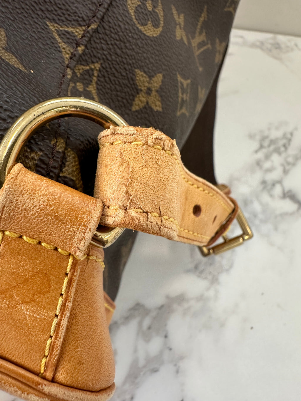 Louis Vuitton Montsouris GM