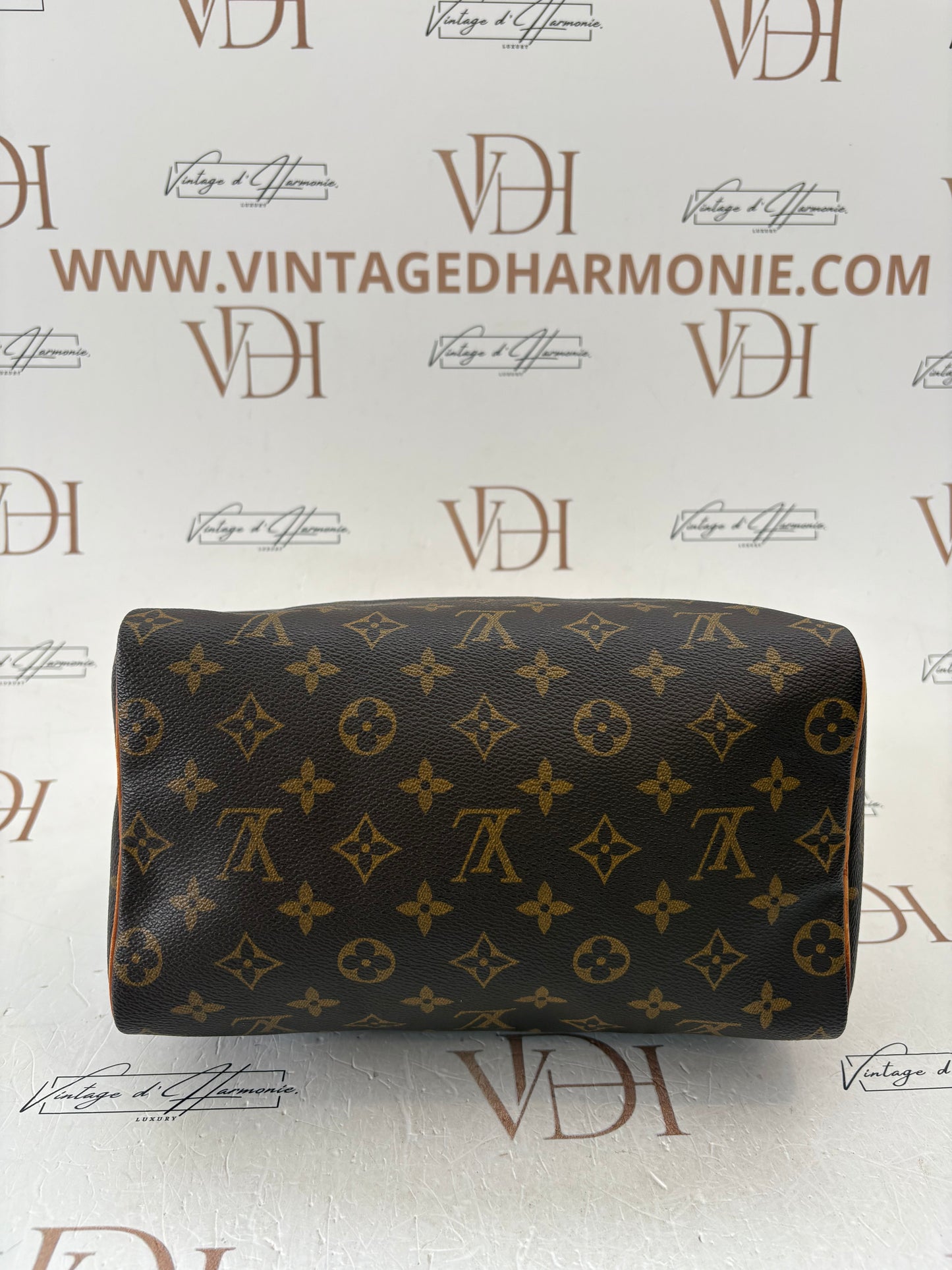 200870 - Louis Vuitton Speedy 25