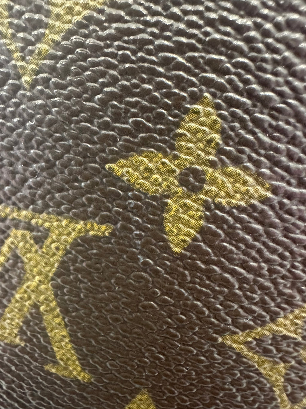 Louis Vuitton Cartouchiere GM