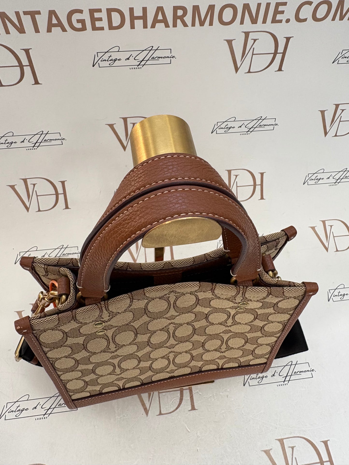 382695 - Coach Disney