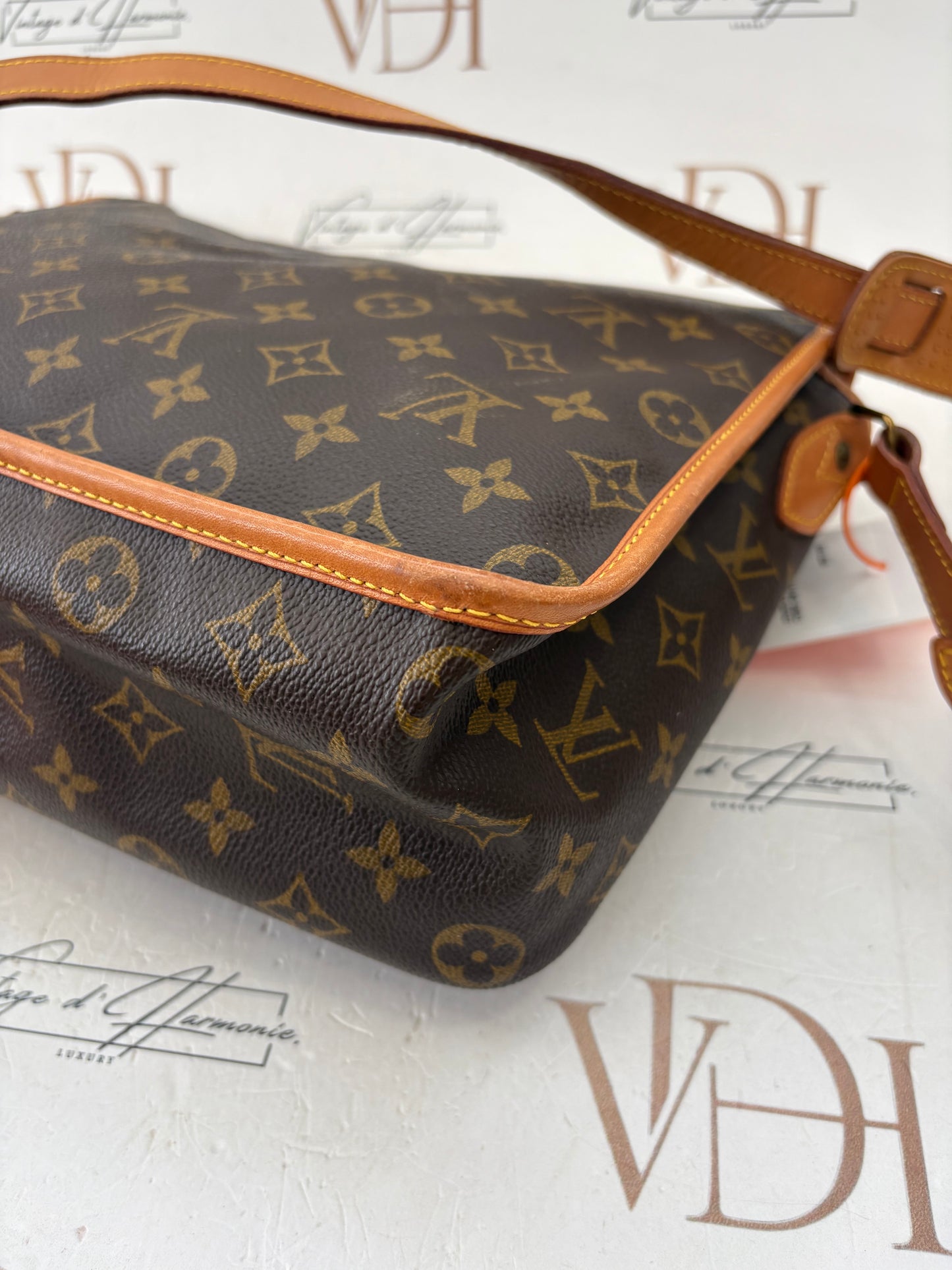 018966 - Louis Vuitton Gibeciere