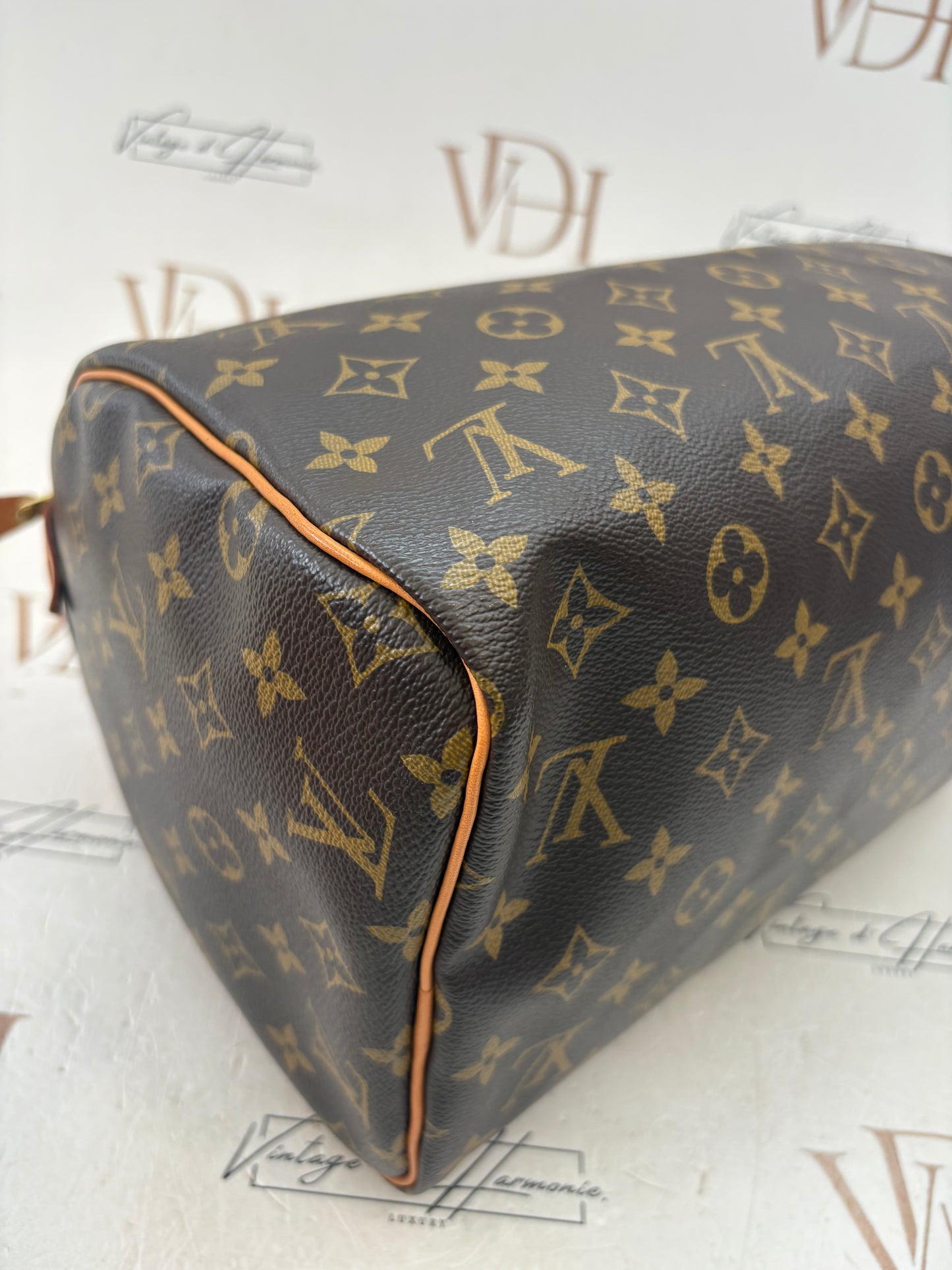 384207 - Louis Vuitton Speedy 30