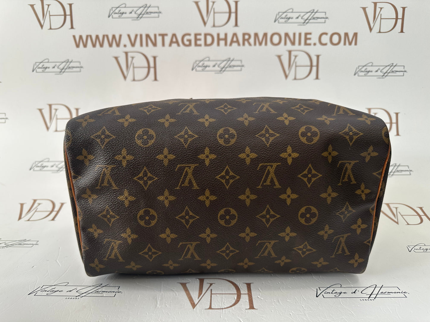 017847 - Louis Vuitton Speedy 30