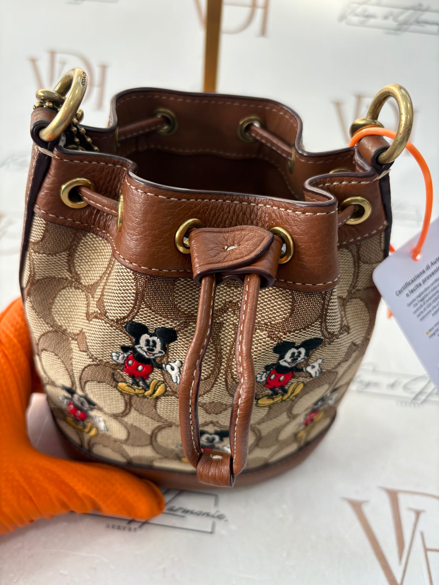 382692 - Coach Disney