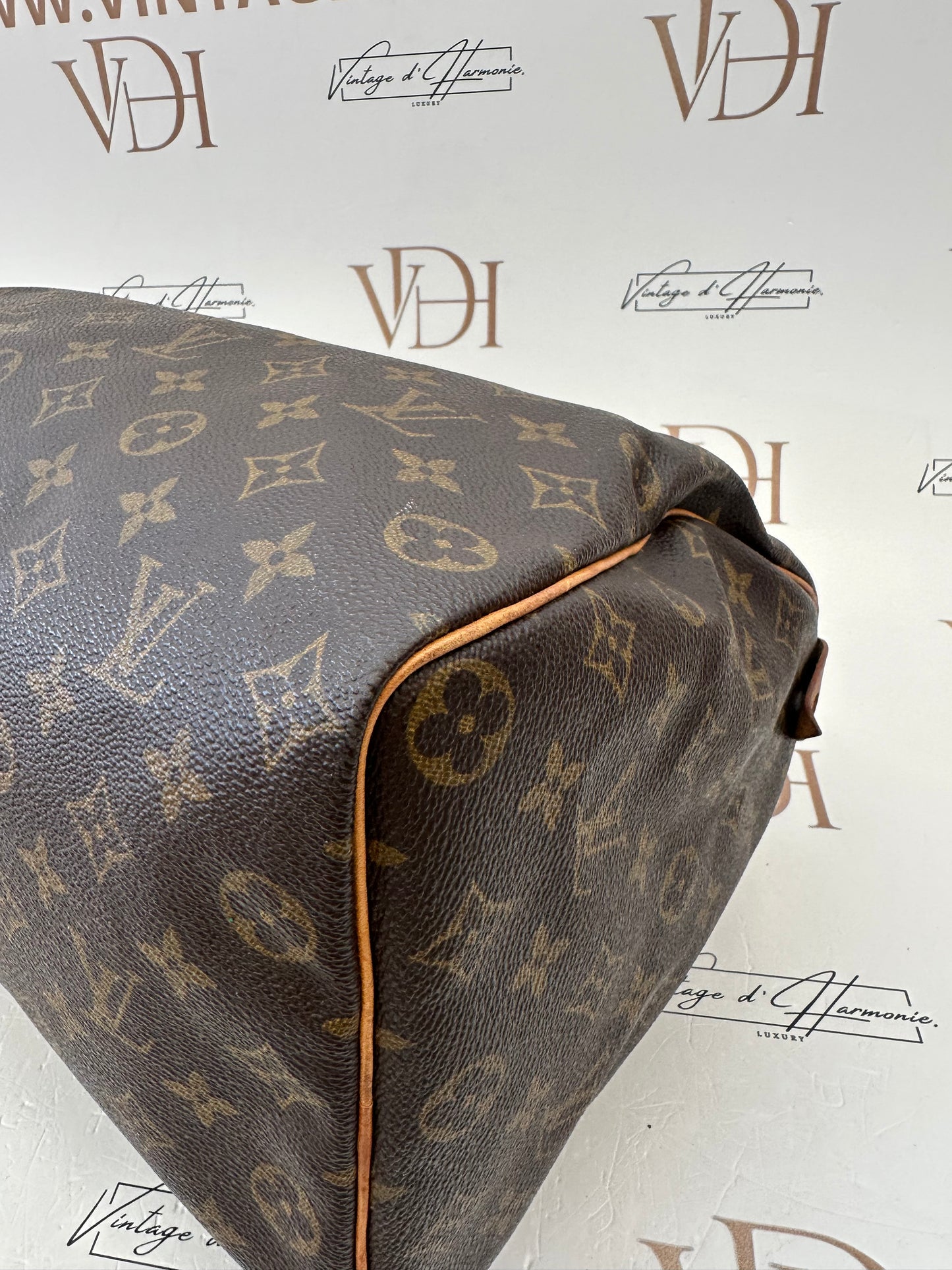 017863 - Louis Vuitton Speedy 35