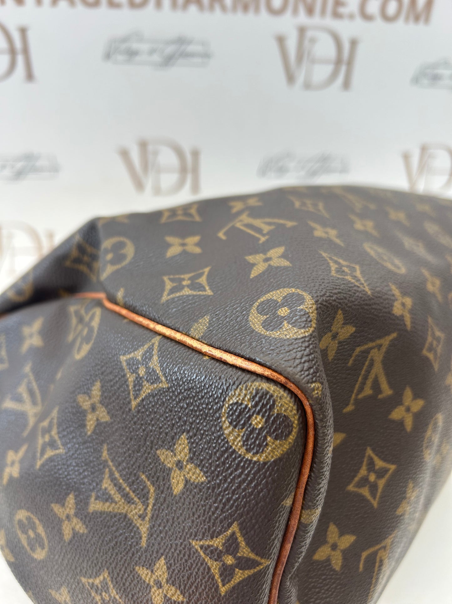 018315 - Louis Vuitton Speedy