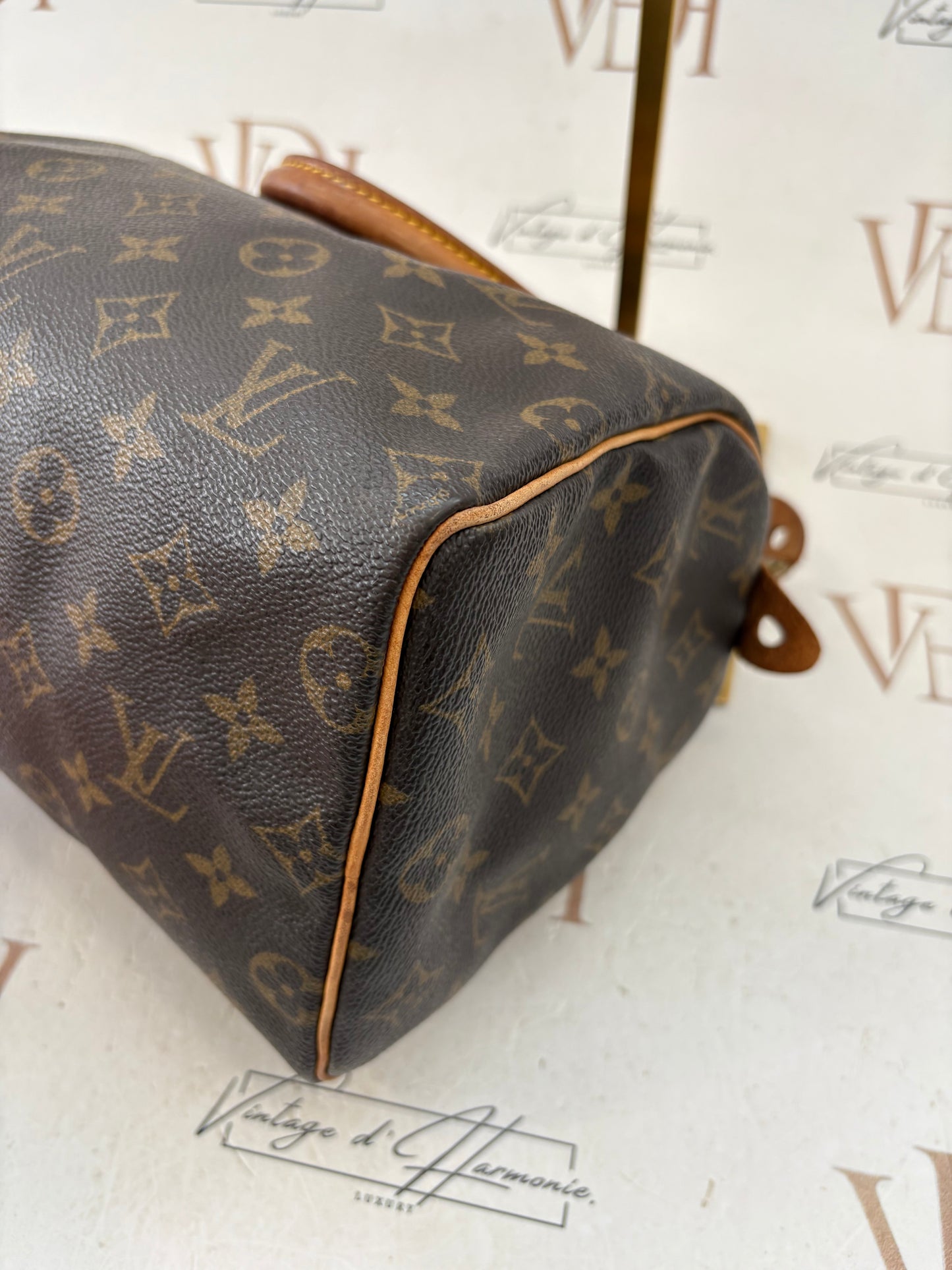 018244 - Louis Vuitton Speedy 25
