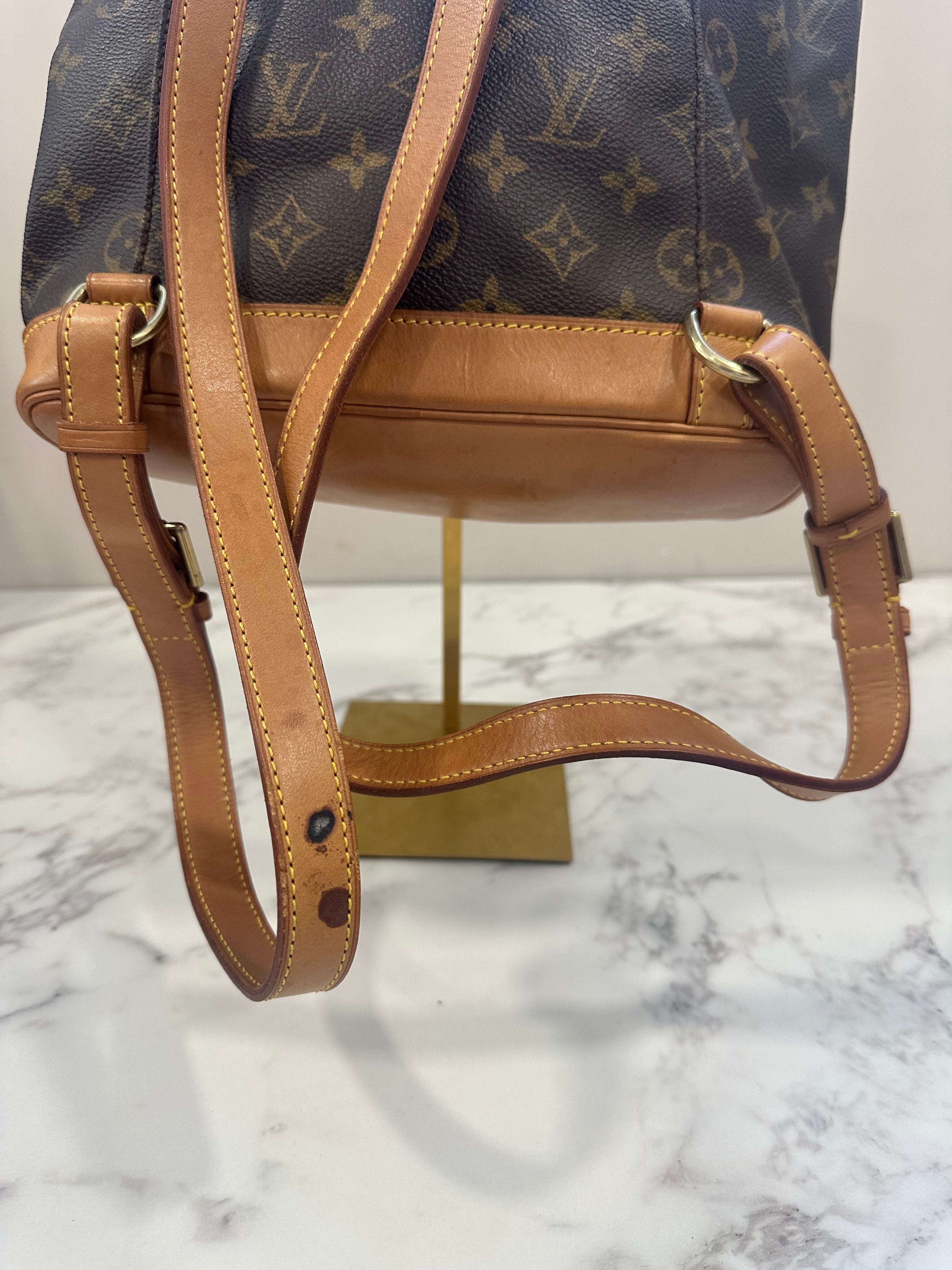 Louis Vuitton Montsouris MM