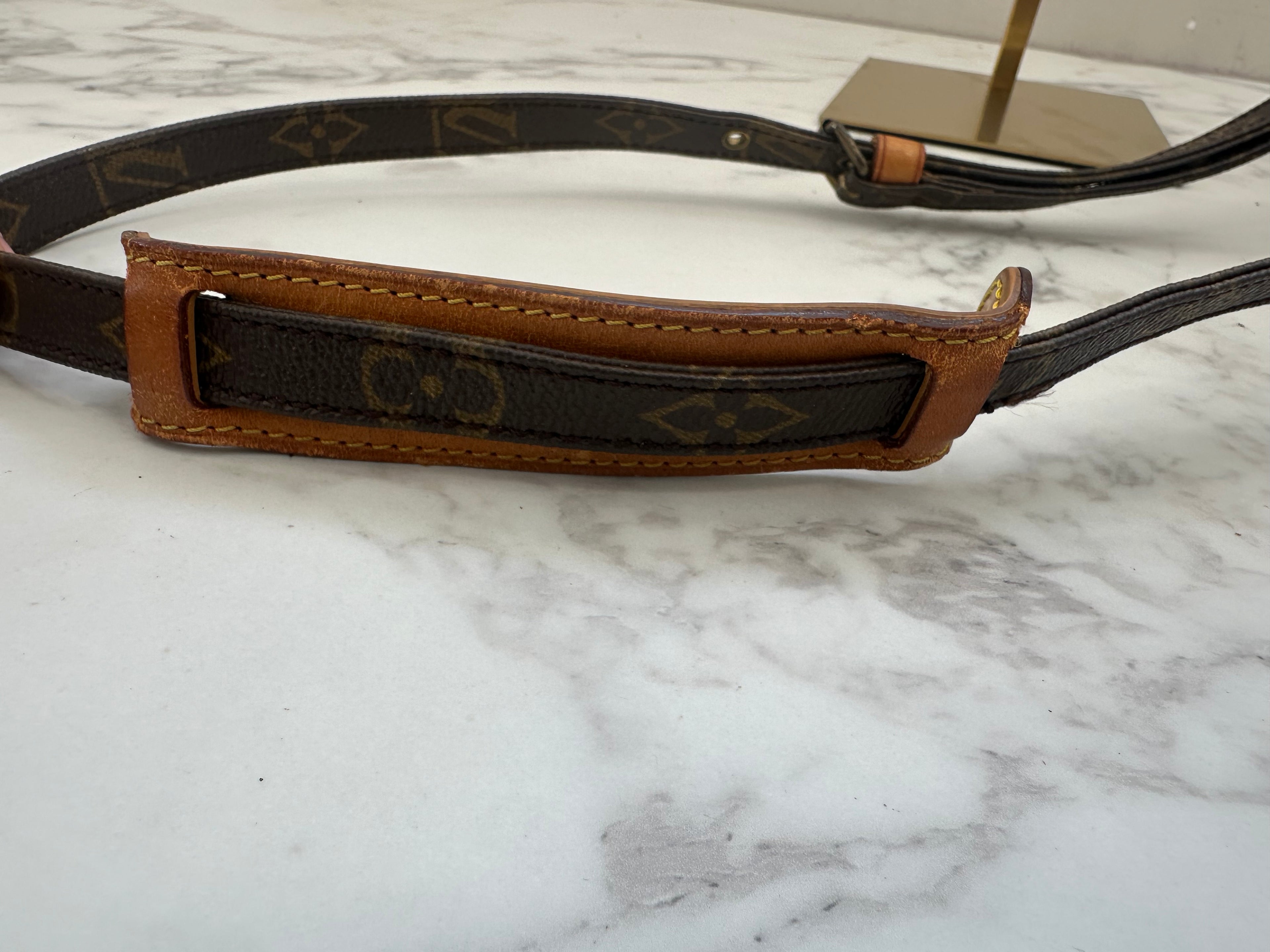 Louis Vuitton Mini Amazon