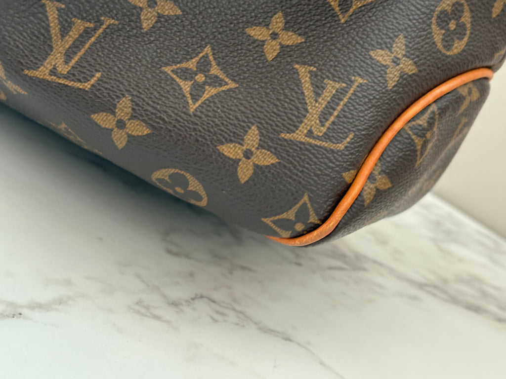 Louis Vuitton DelightFull PM