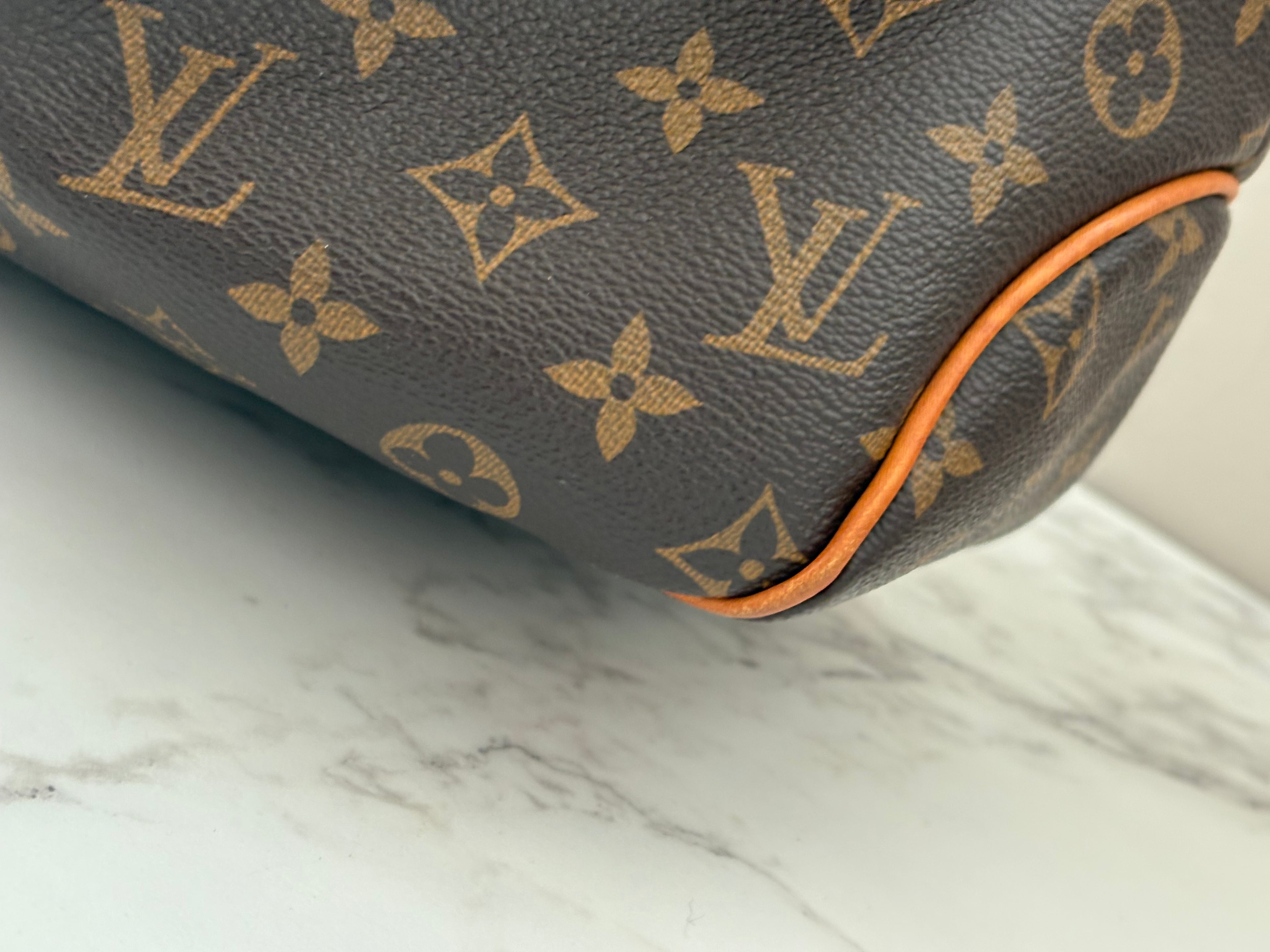 Louis Vuitton DelightFull PM