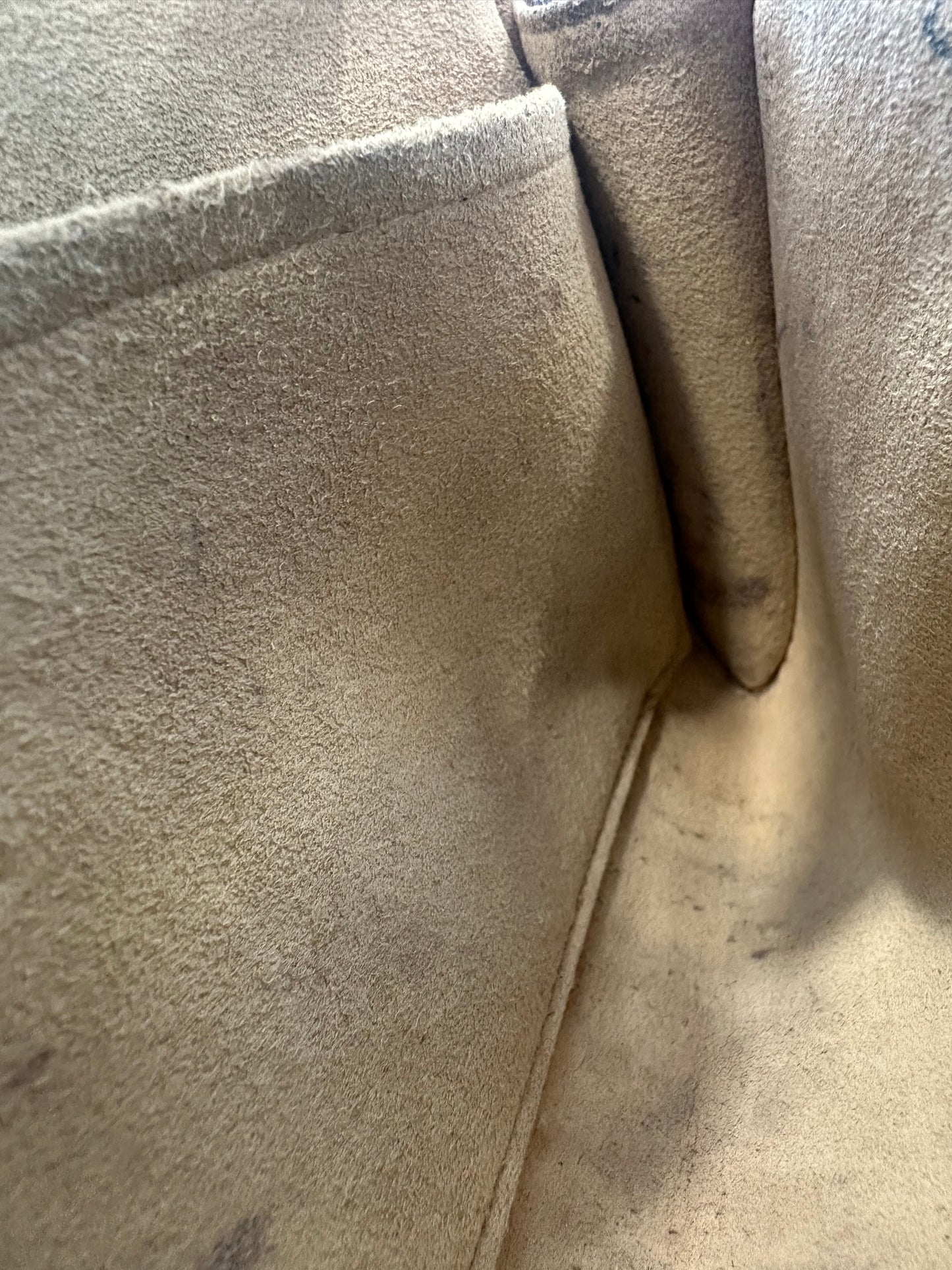 Louis Vuitton Pochette Twin GM