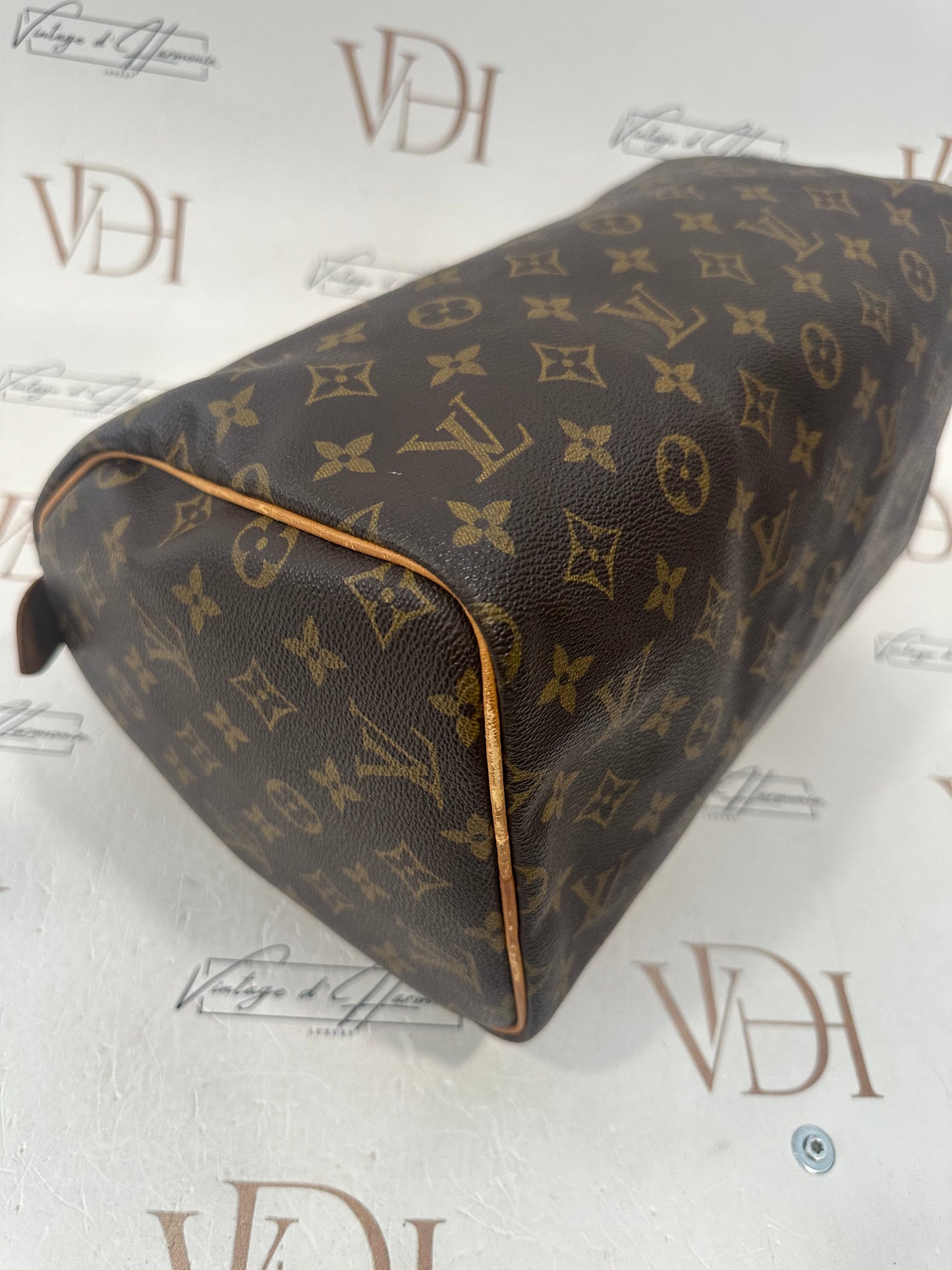 018723 - Louis Vuitton Speedy 30
