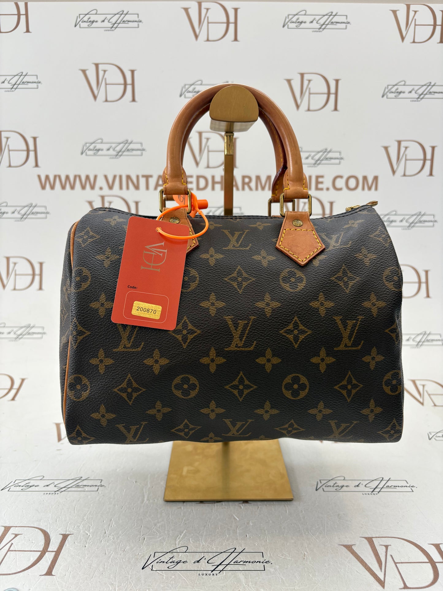 200870 - Louis Vuitton Speedy 25