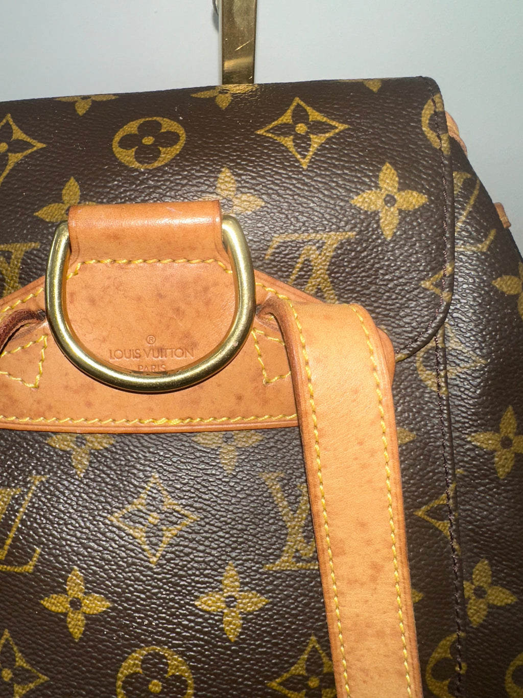 Louis Vuitton Montsouris mm