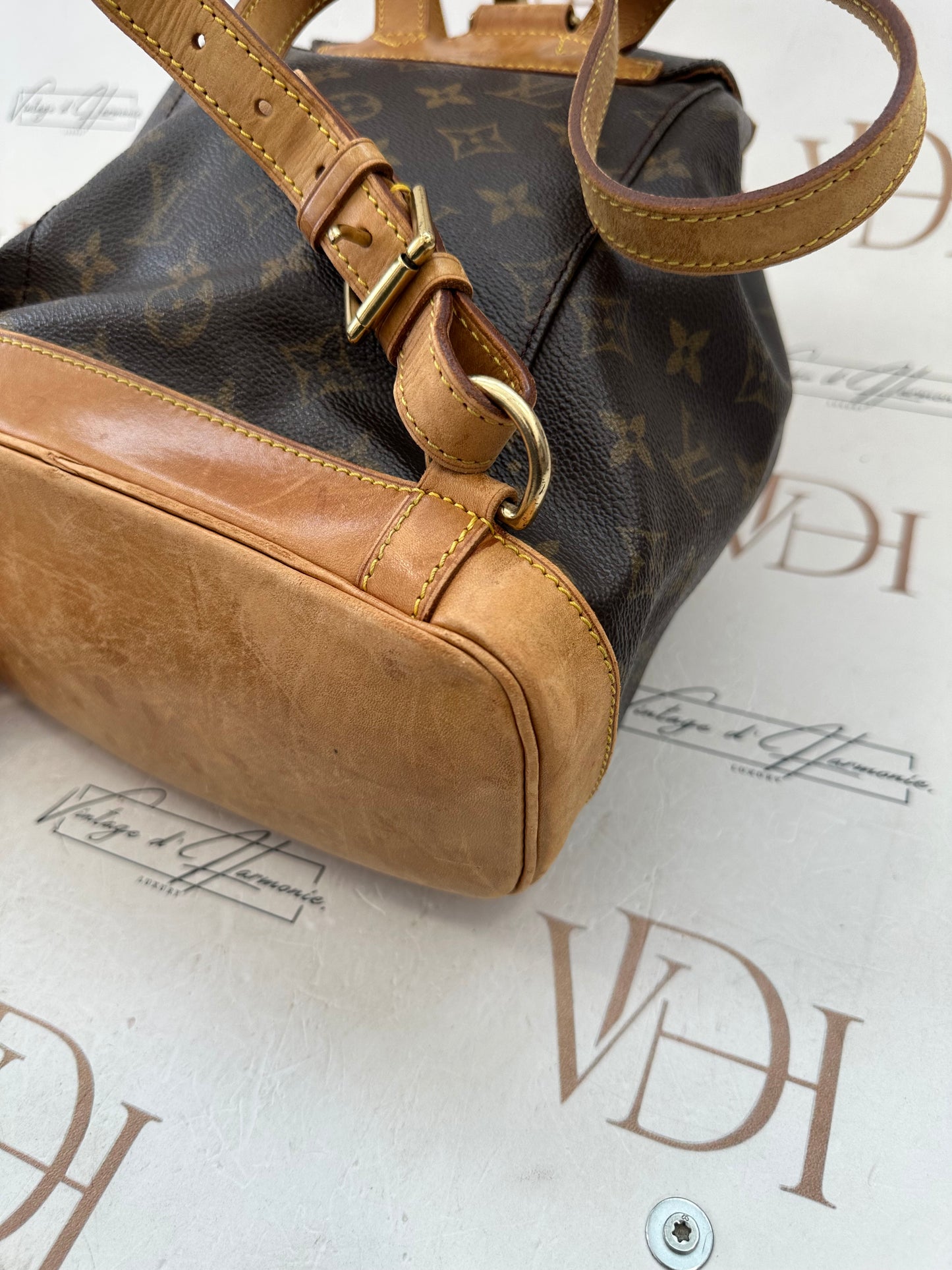 018721 - Louis Vuitton Montsouris MM