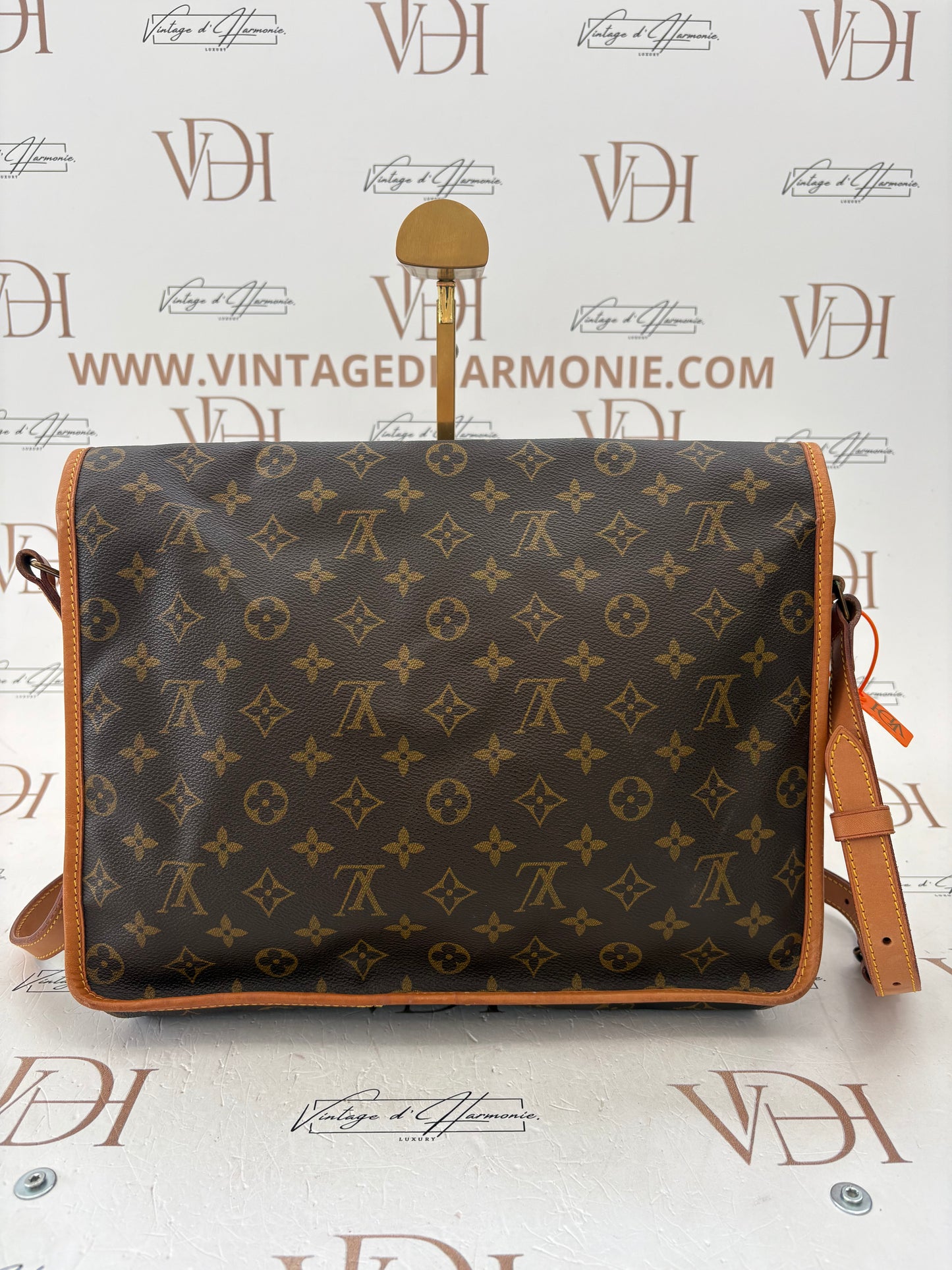 018966 - Louis Vuitton Gibeciere