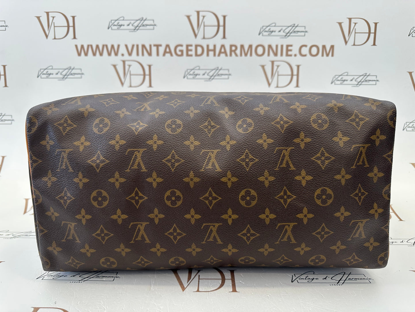 017930 - Louis Vuitton Speedy 40