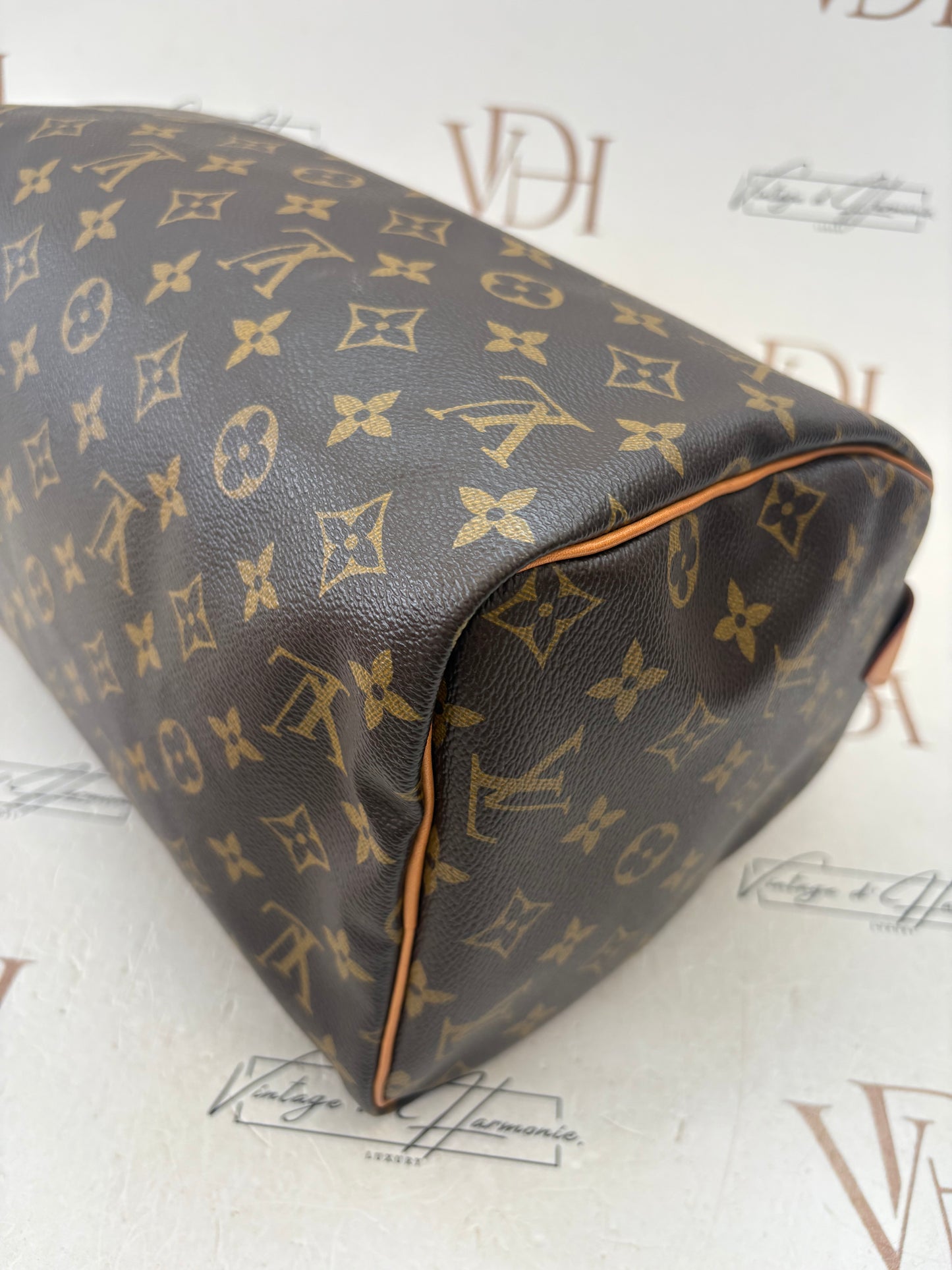 384207 - Louis Vuitton Speedy 30