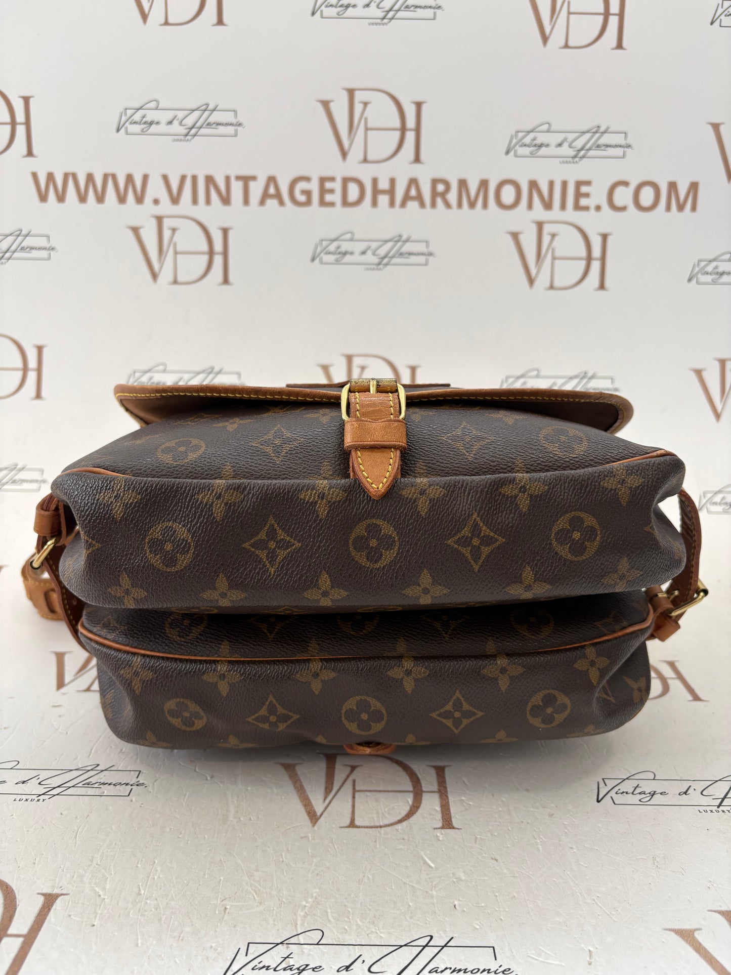 018283 - Louis Vuitton Saumur 30