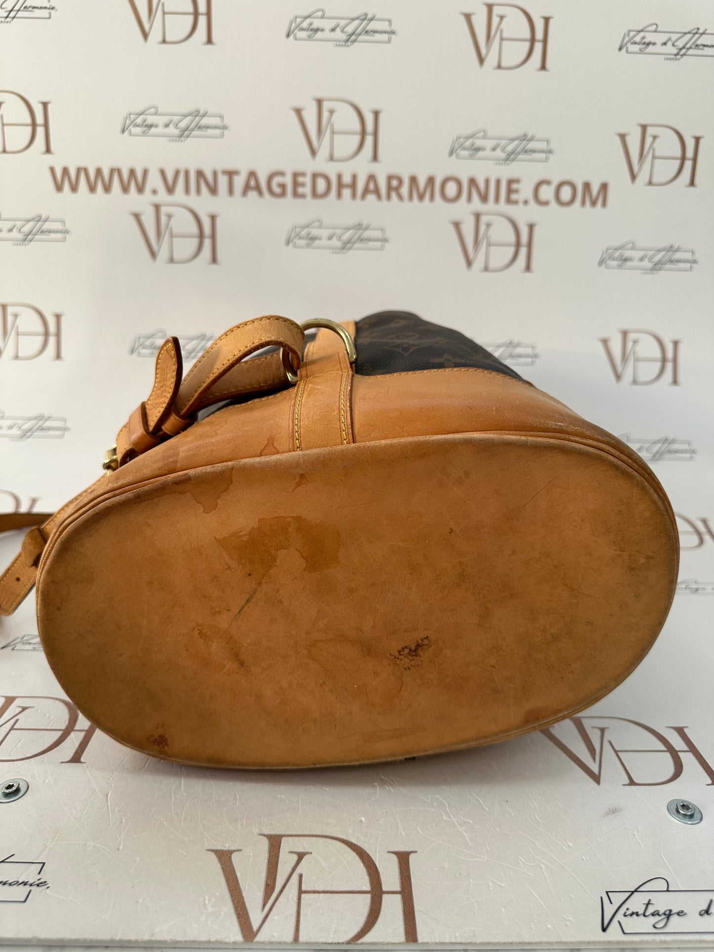 017806 - Louis Vuitton Randonne PM