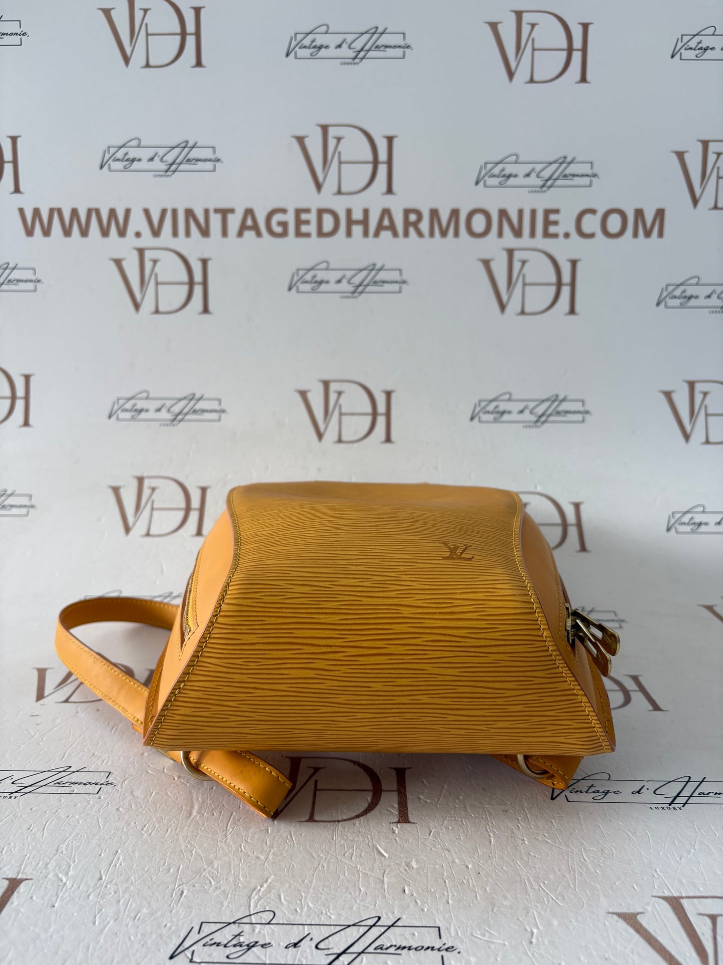 017041 - Louis Vuitton Epi Mabillon