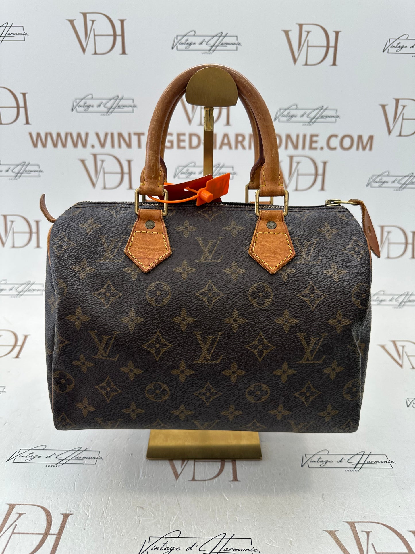 018751 - Louis Vuitton Speedy 25