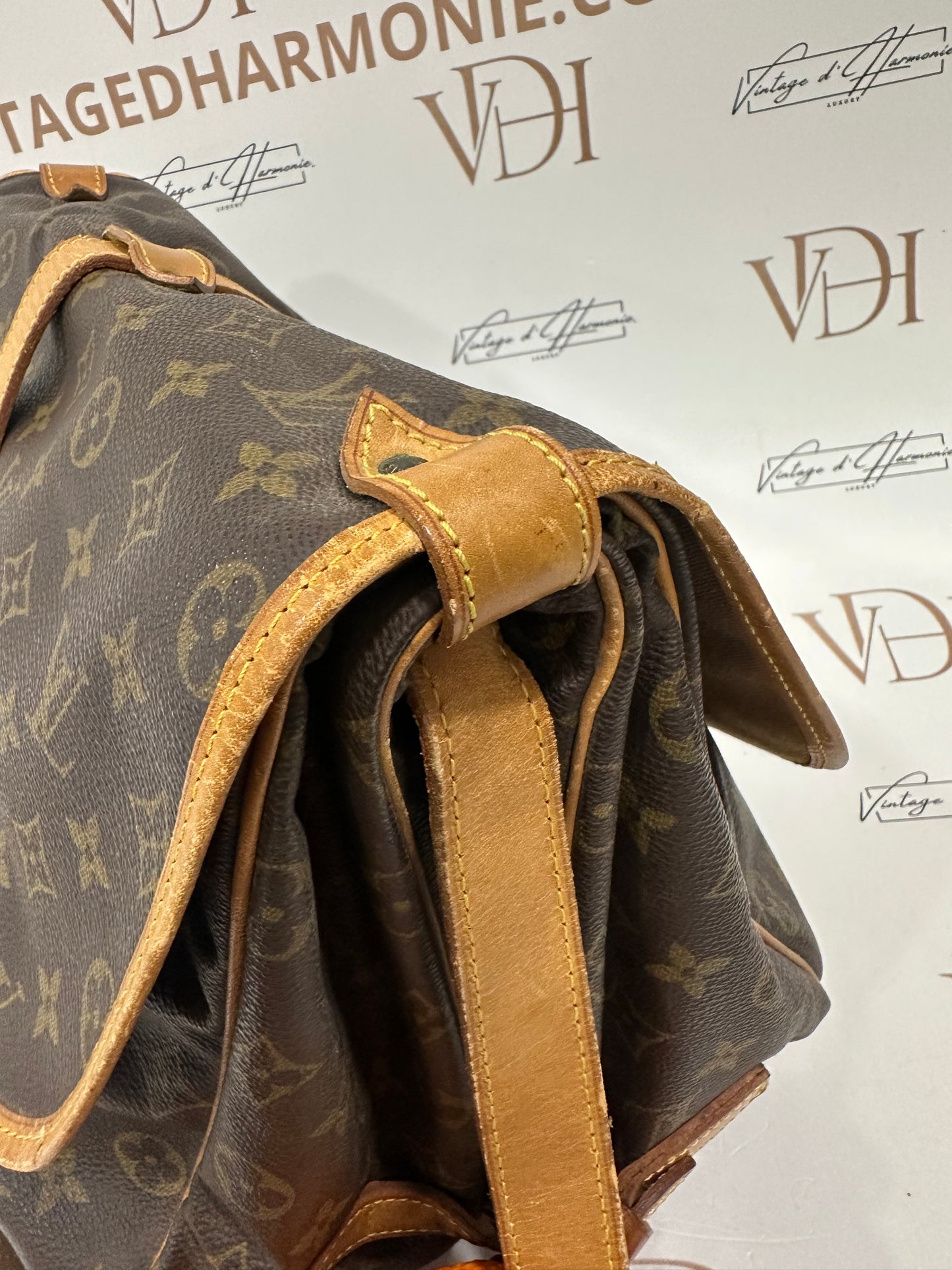 016862 - Louis Vuitton Saumur 35