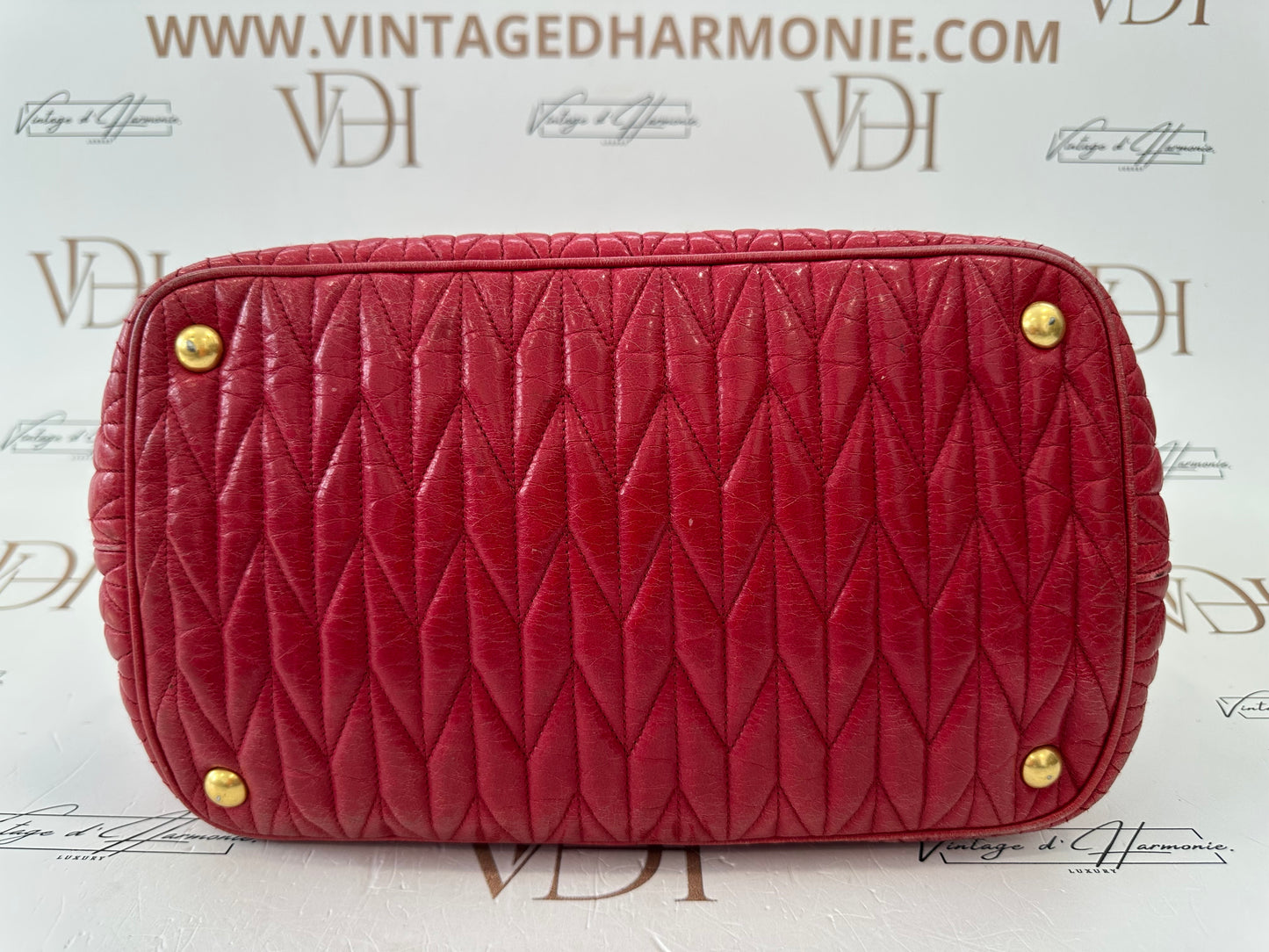 382378 - Miu Miu