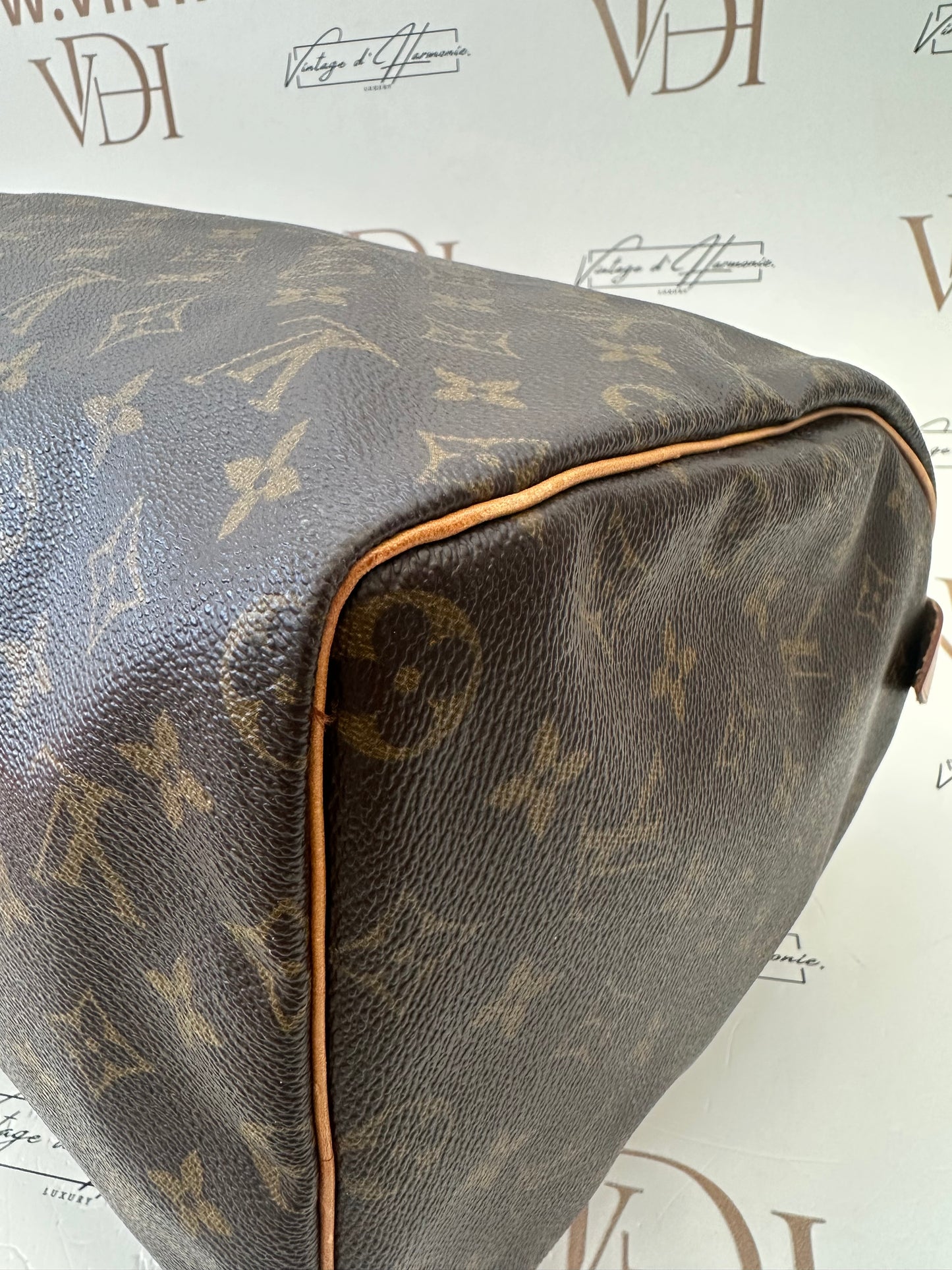 017930 - Louis Vuitton Speedy 40