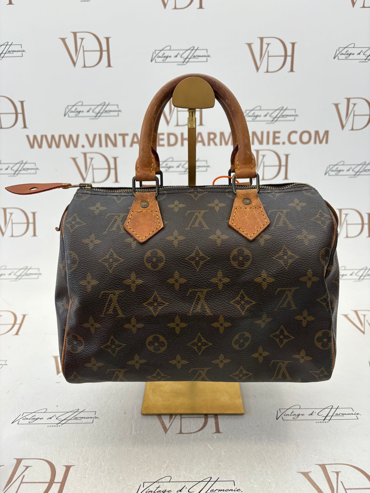 018758 - Louis Vuitton Speedy 25