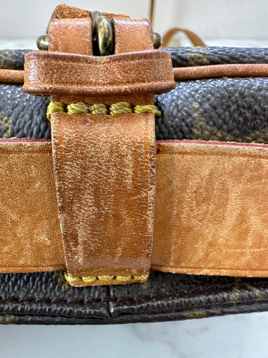 Louis Vuitton Cartouchiere PM