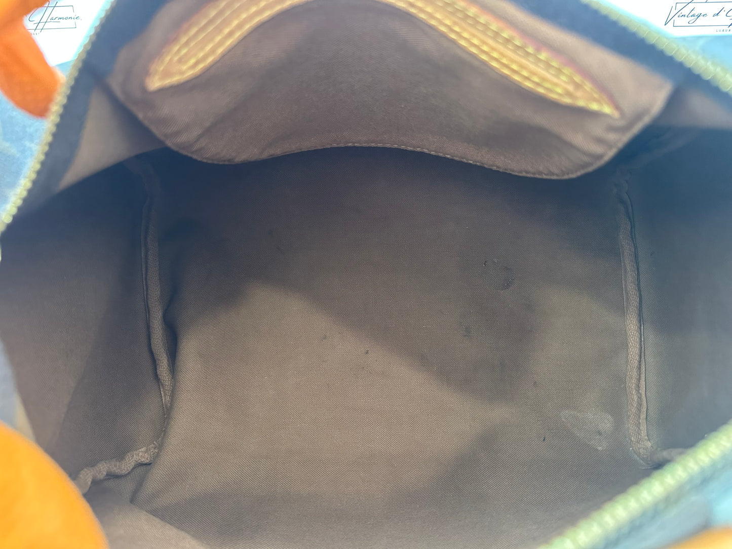 017668 - Louis Vuitton Speedy 30