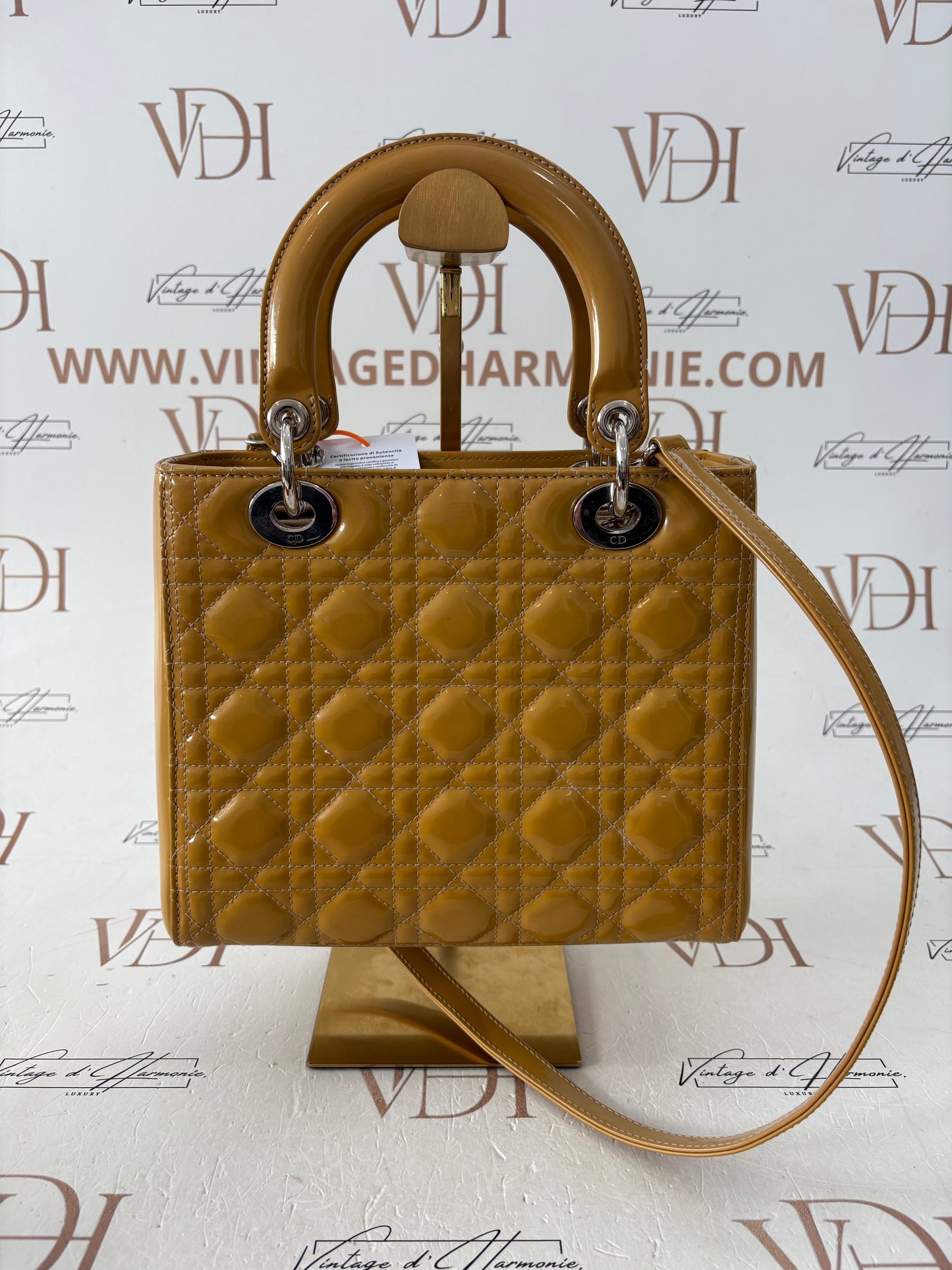 383847 - Dior Lady