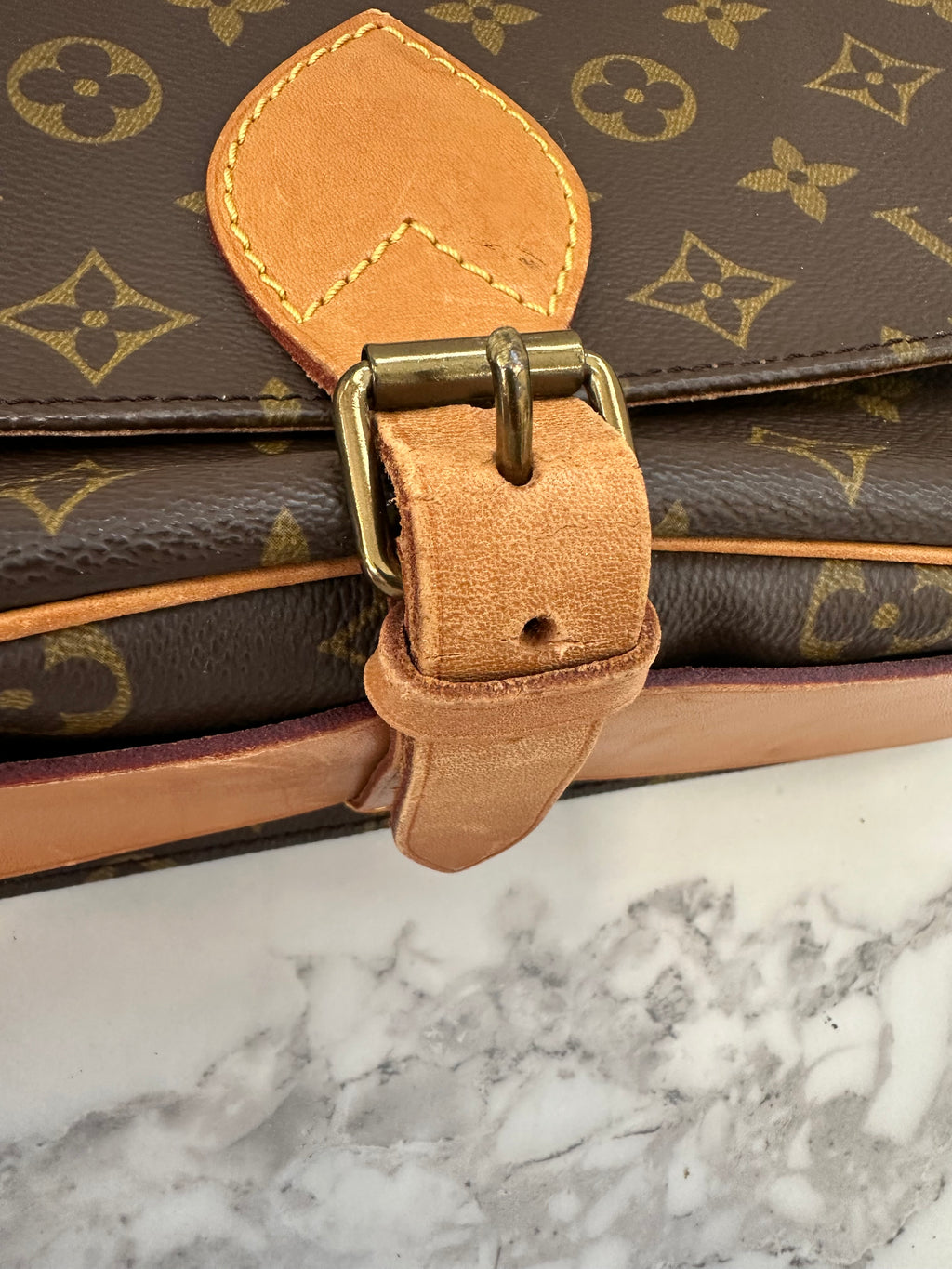 Louis Vuitton Cartouchiere GM