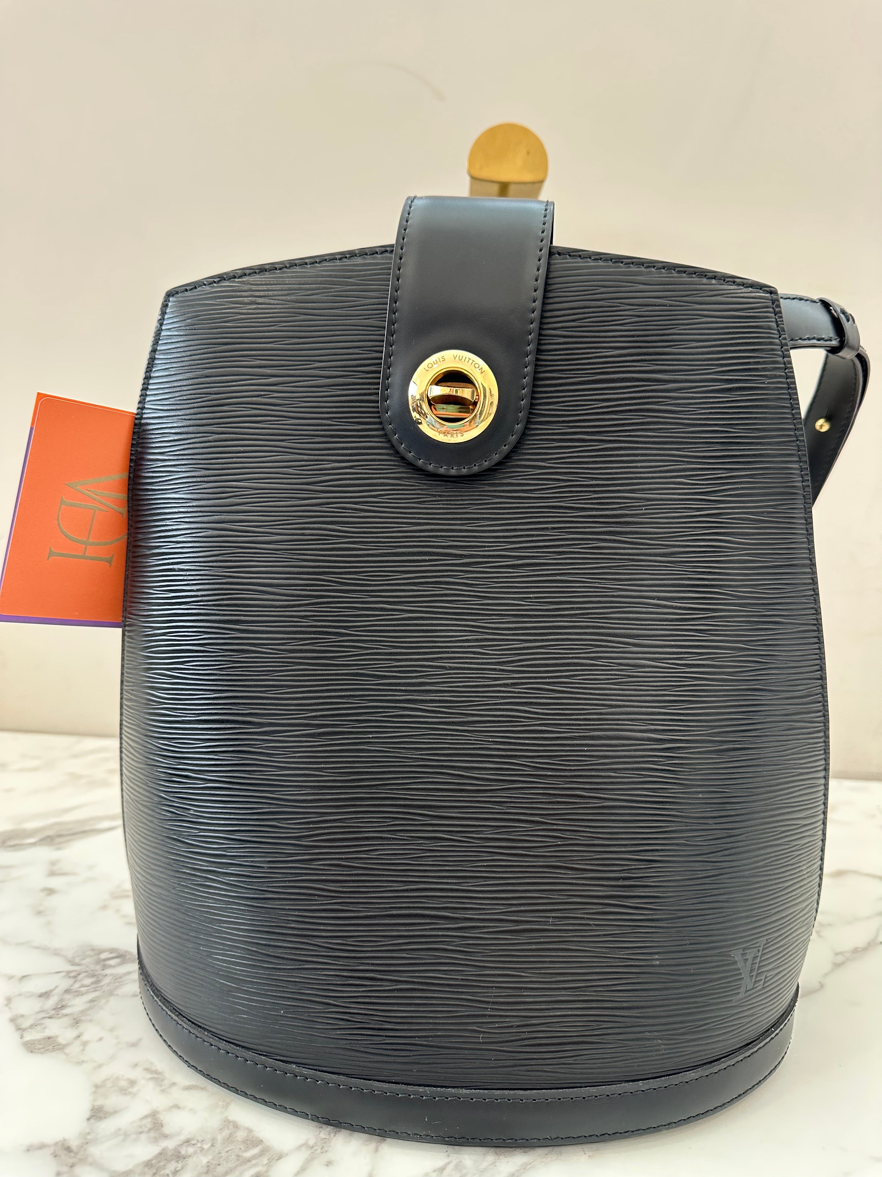Louis Vuitton Black Epi Cluny