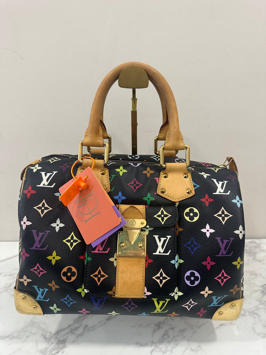 Louis Vuitton Speedy 30 Multicolor