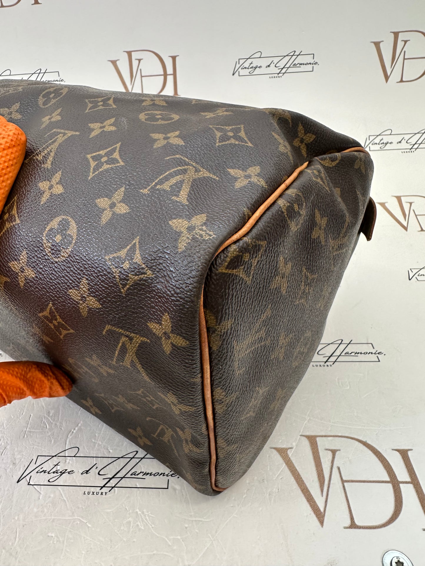 017668 - Louis Vuitton Speedy 30