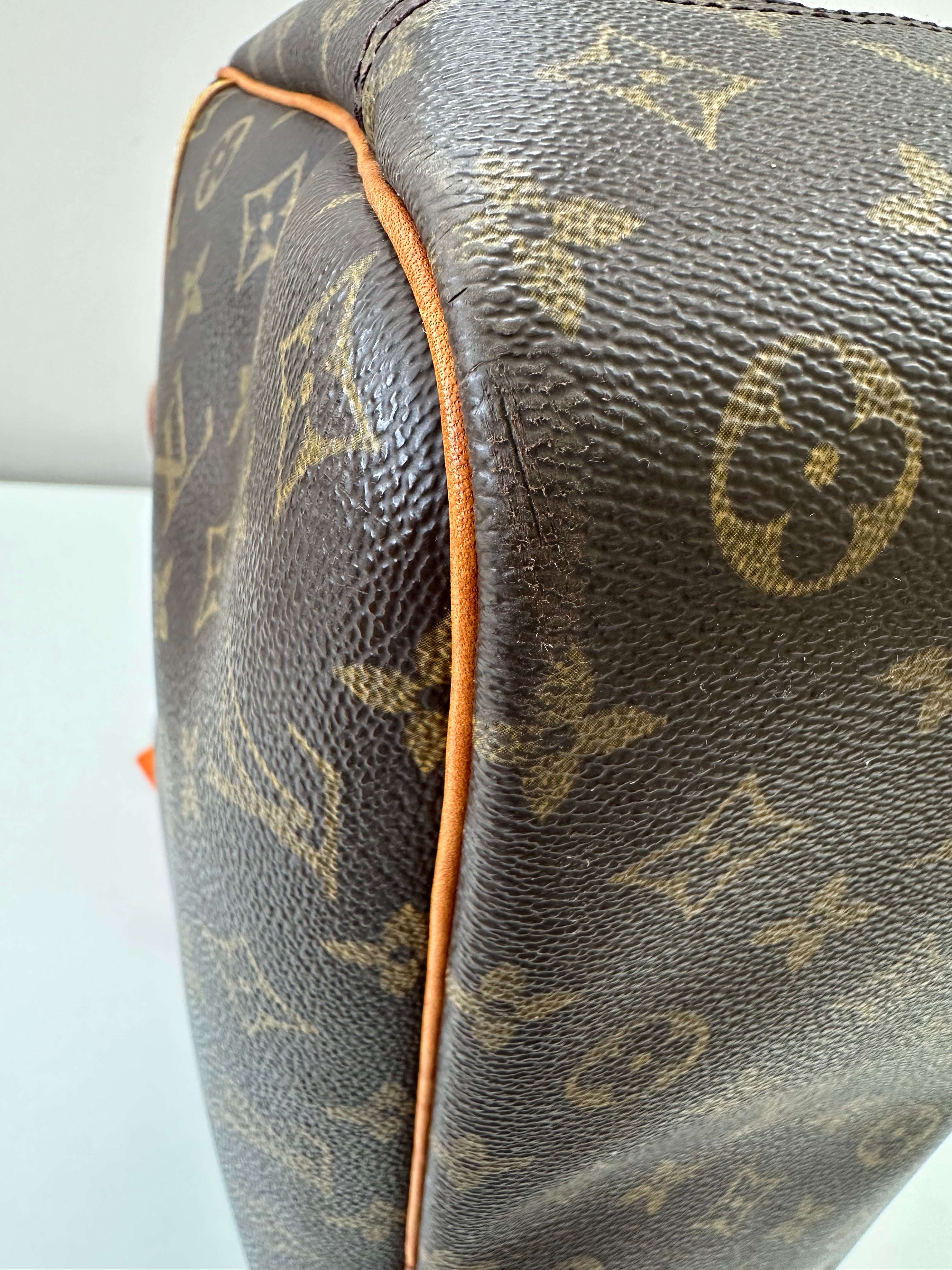 Louis Vuitton Deauville